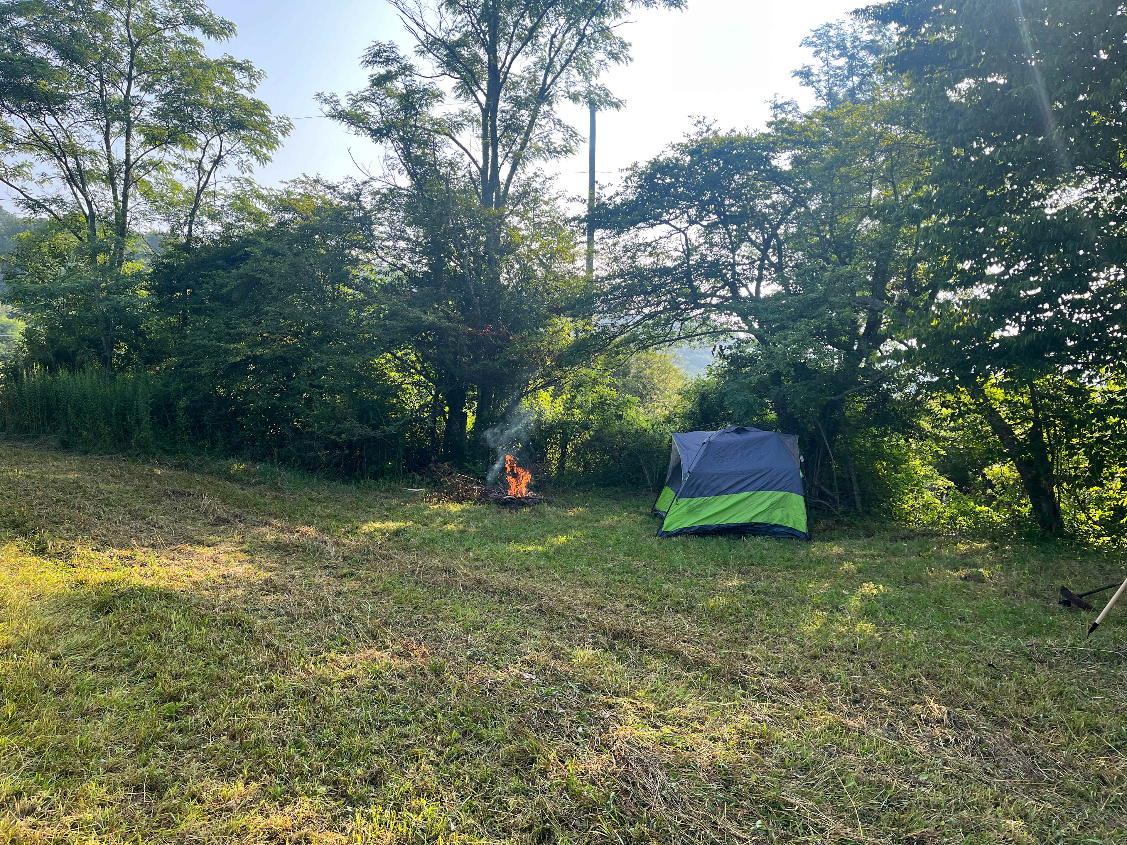 Picture of the site