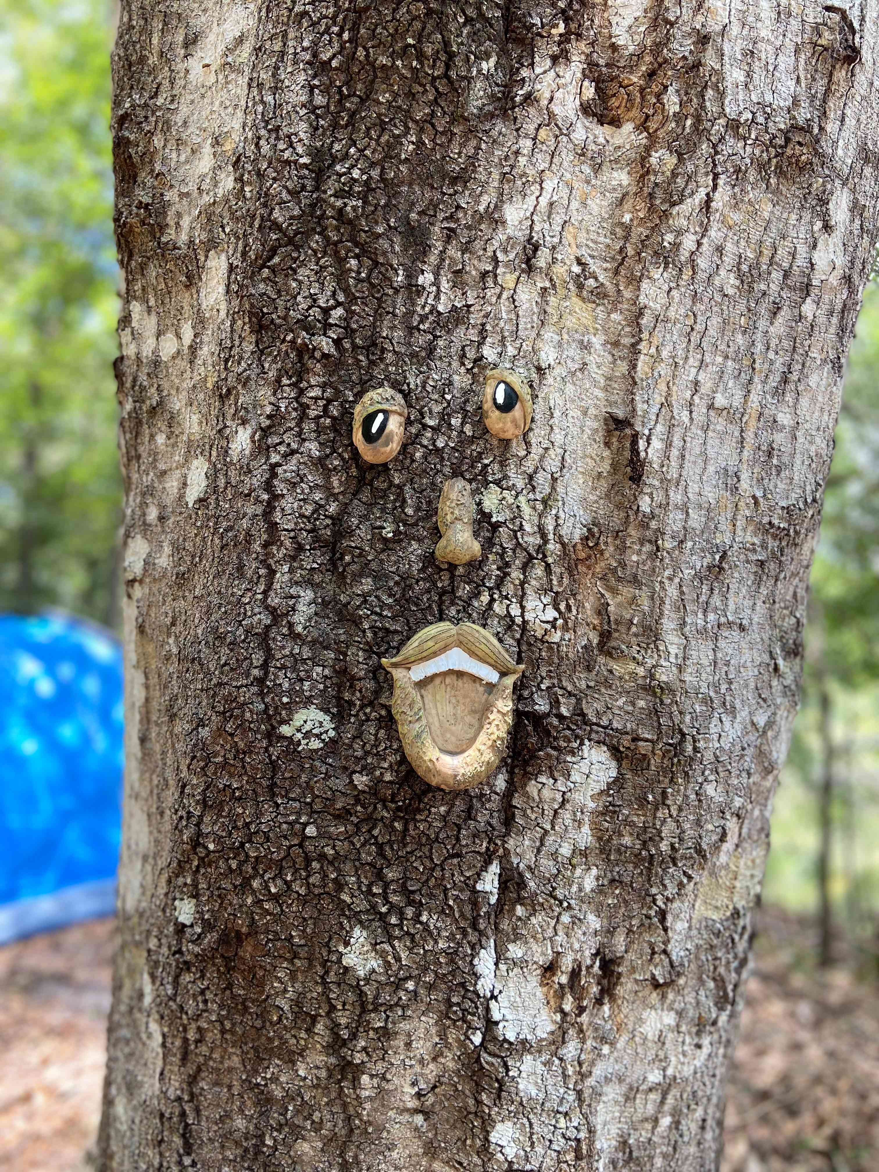 Primitive Island on Withlacoochee