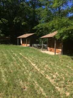 Skunk Hollow