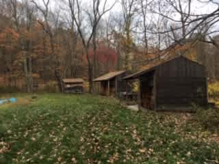 Skunk Hollow