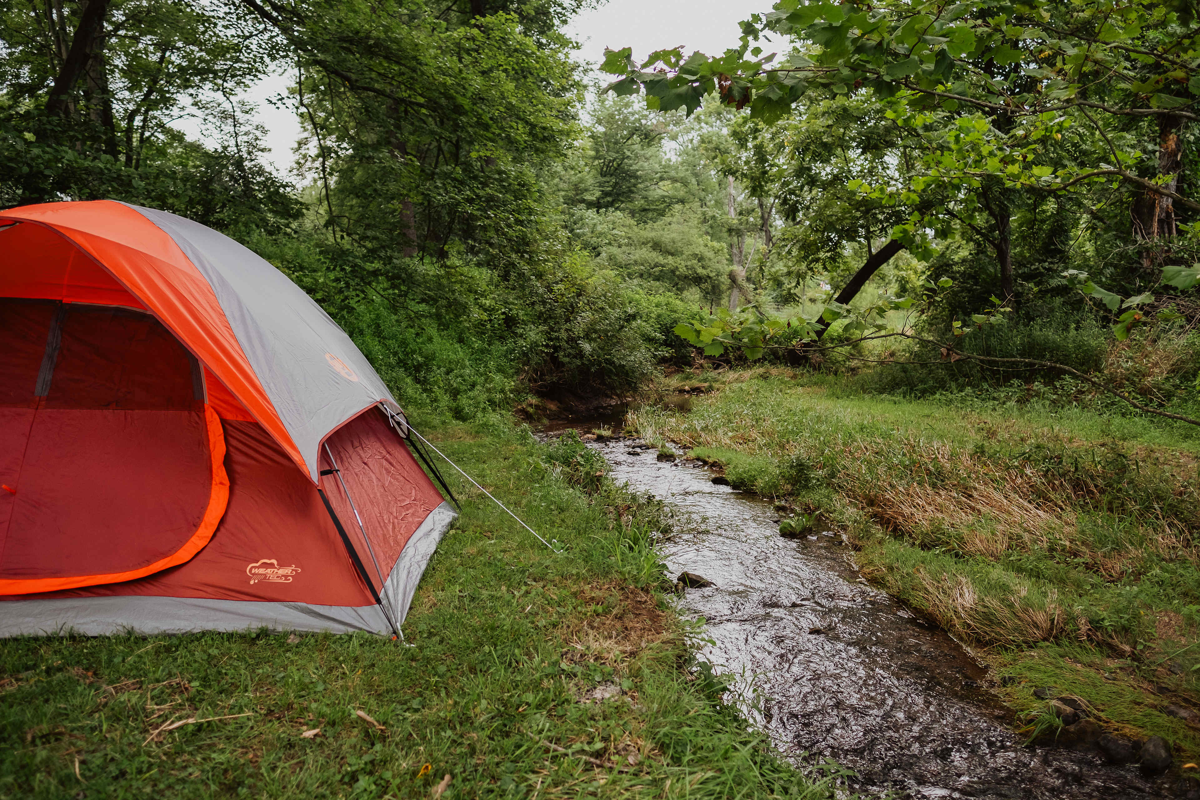 Sleep next to the enchanting sounds of a creek . . .