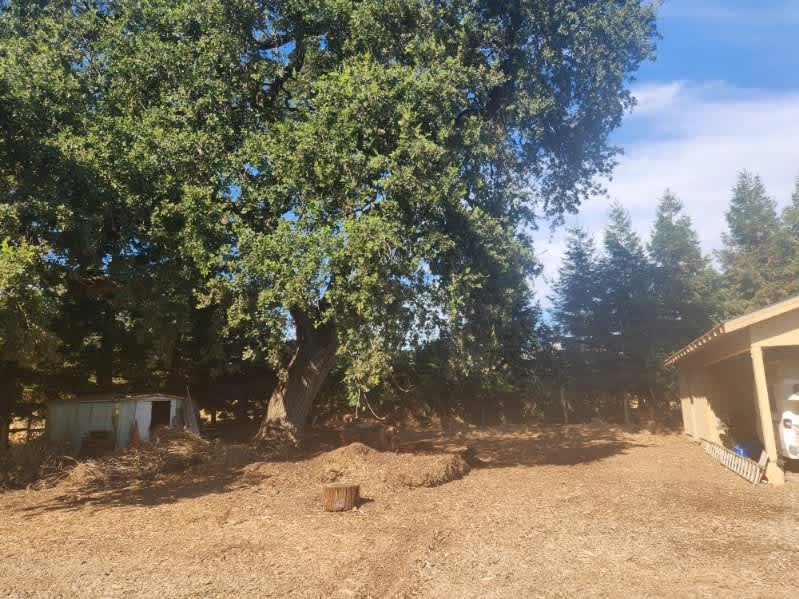 Managed Mischief Micro Farm