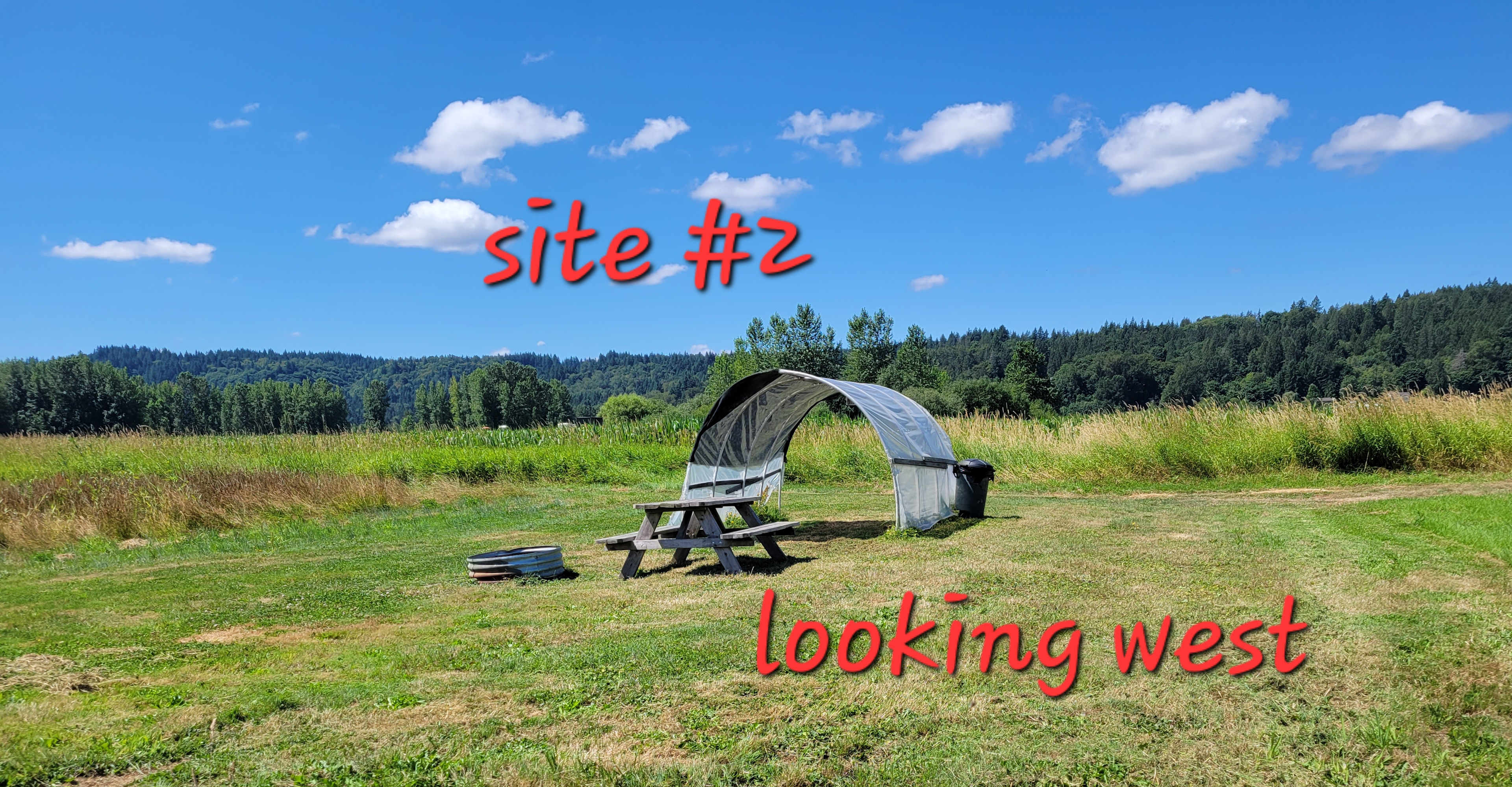 Picture of the site