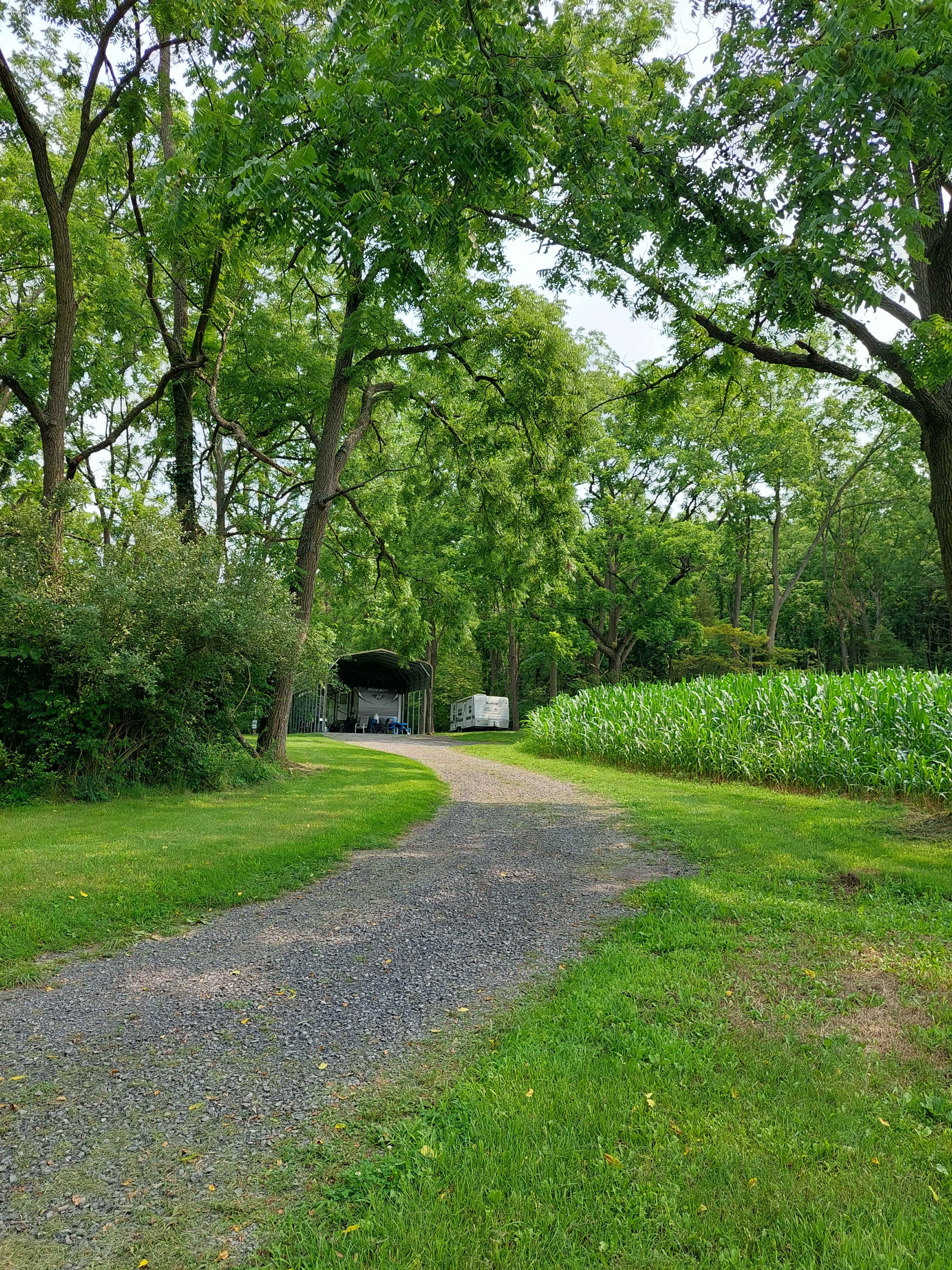 Davis Farm