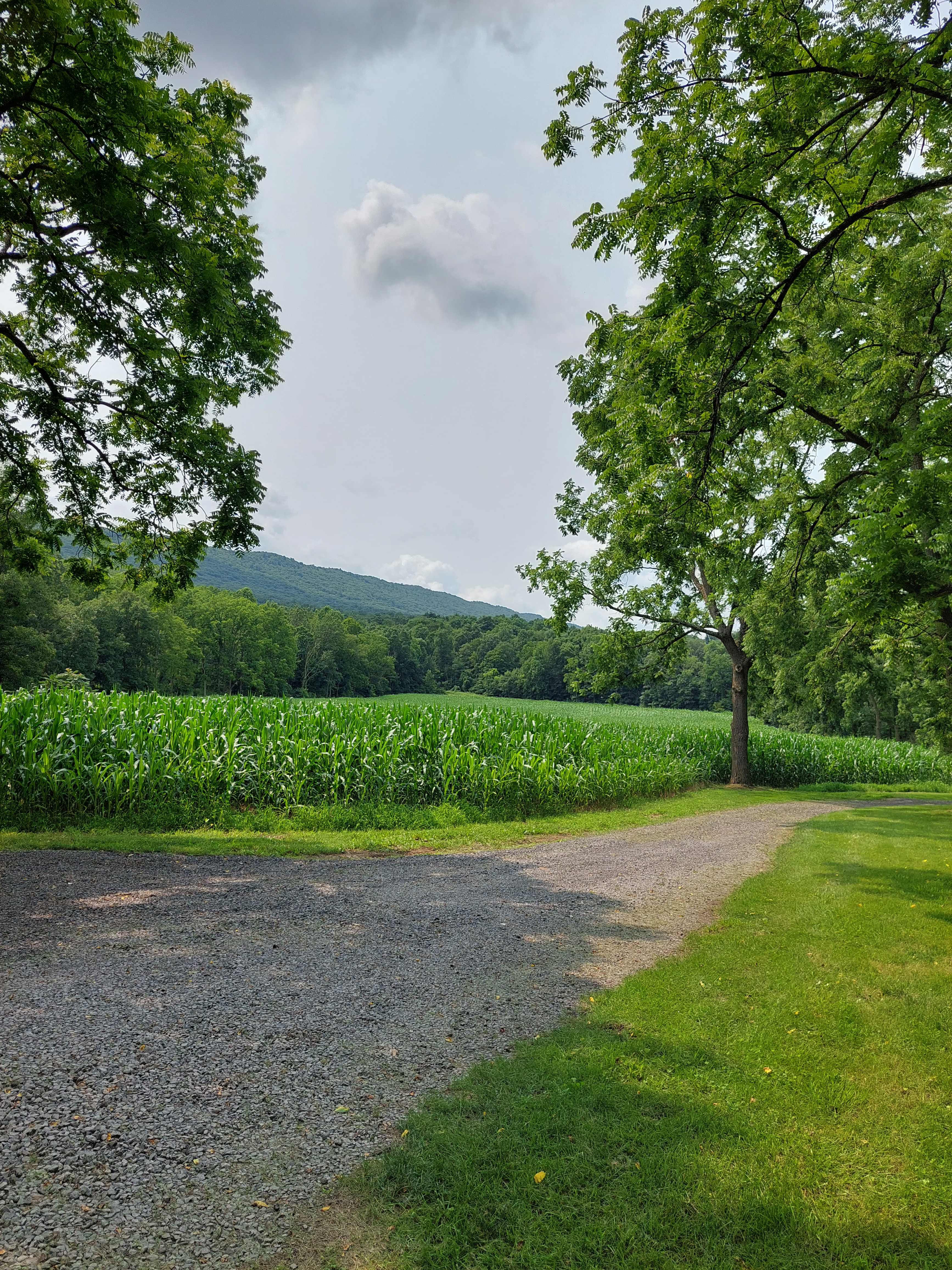 Davis Farm