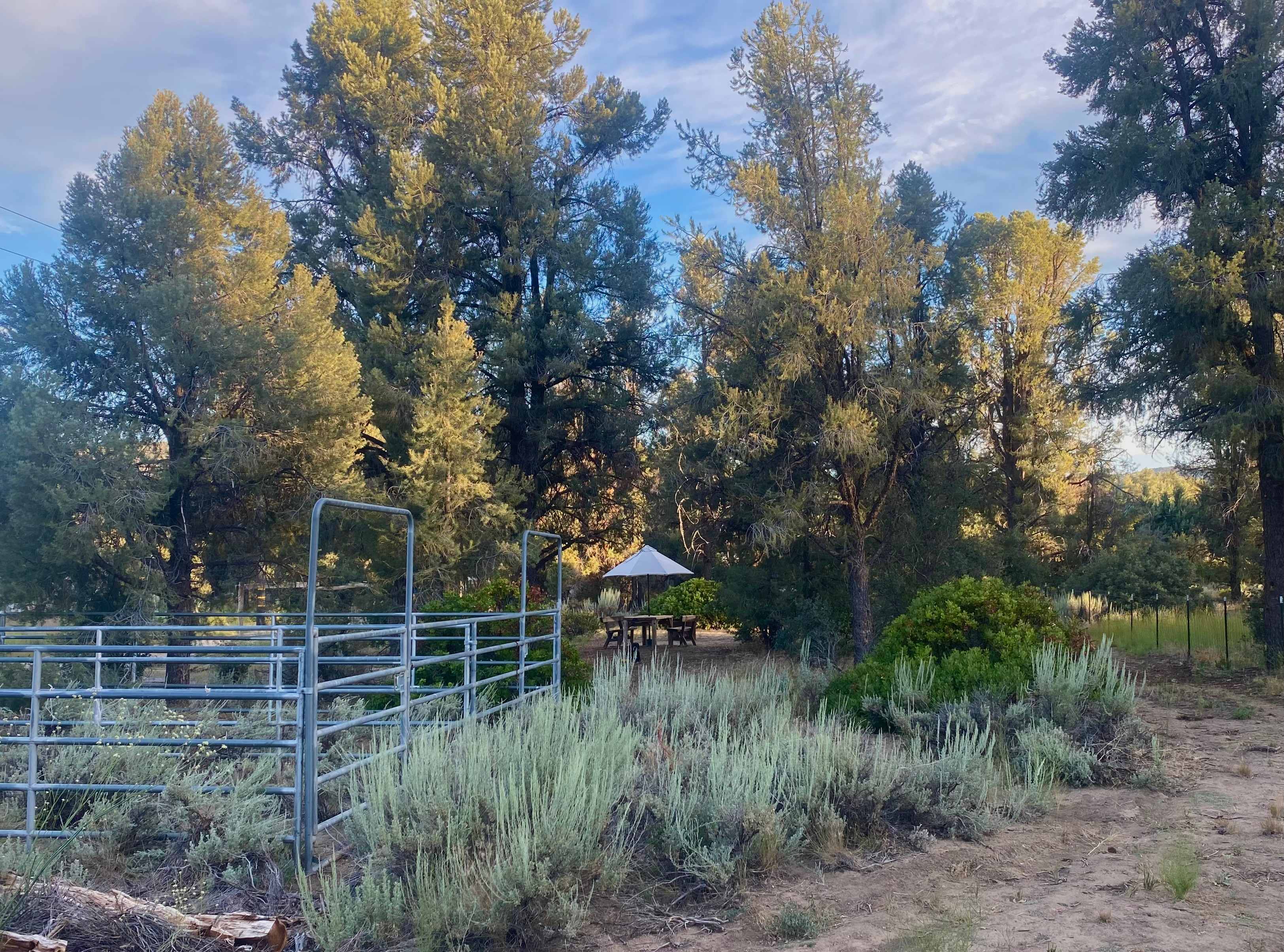 Gem of the Bend (Horses welcome)