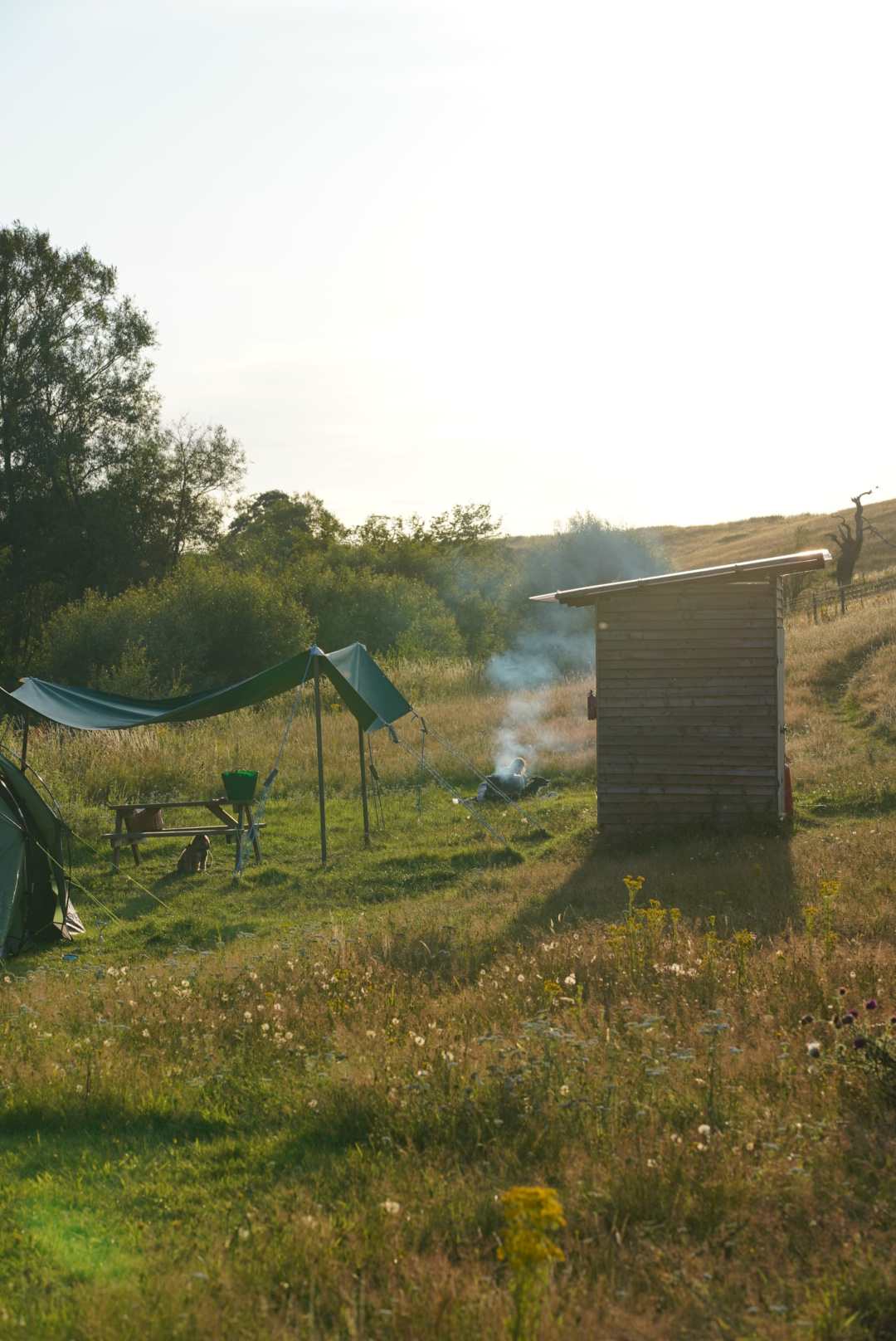 Picture of the site