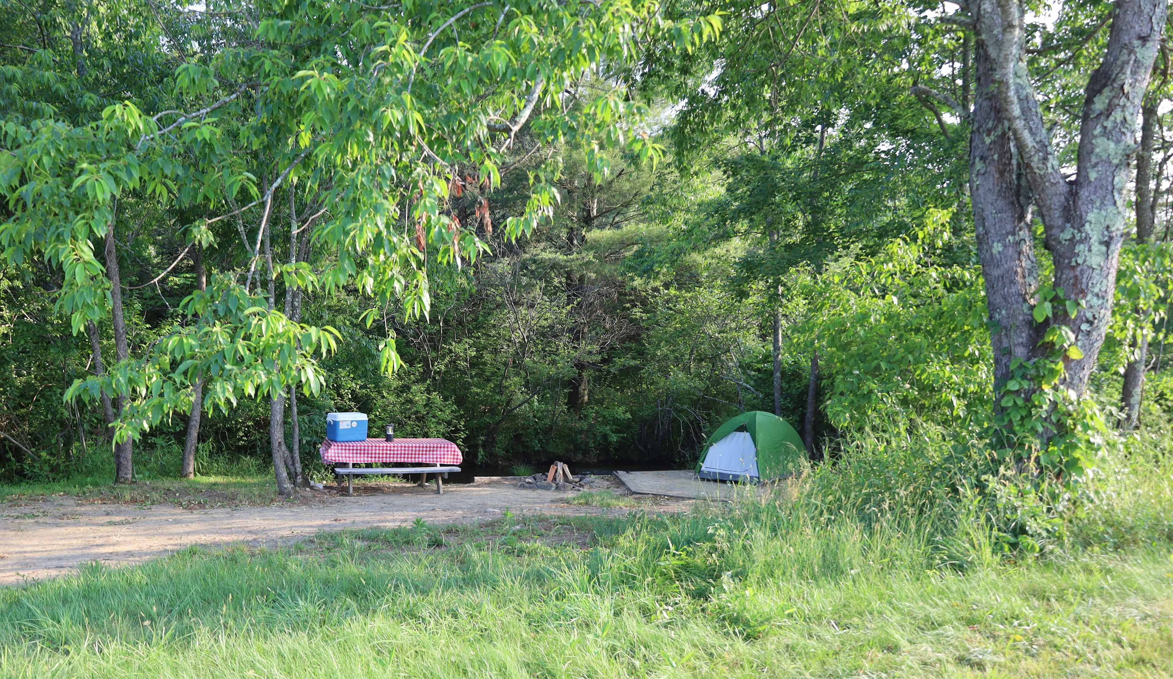 Picture of the site