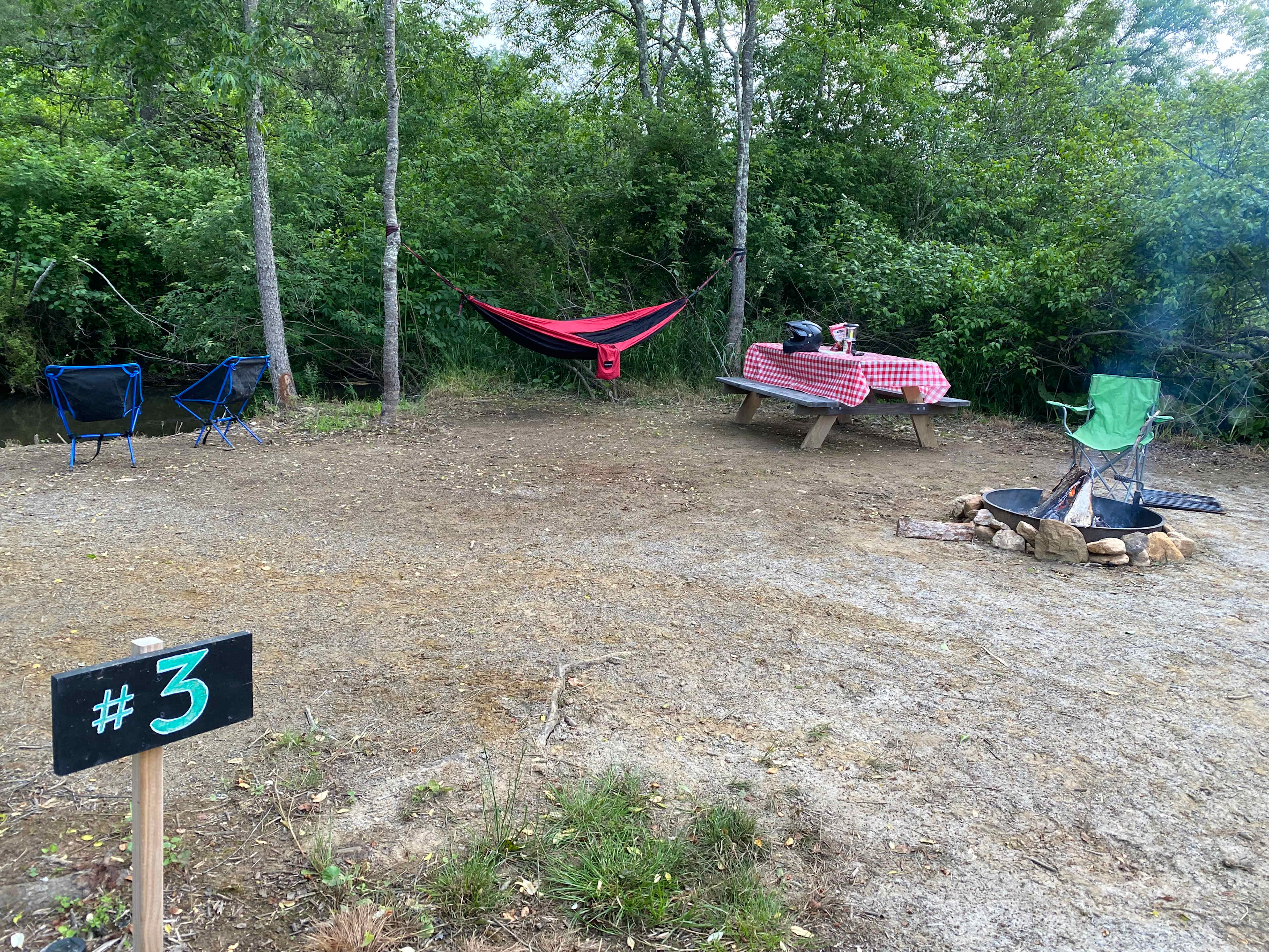 Picture of the site