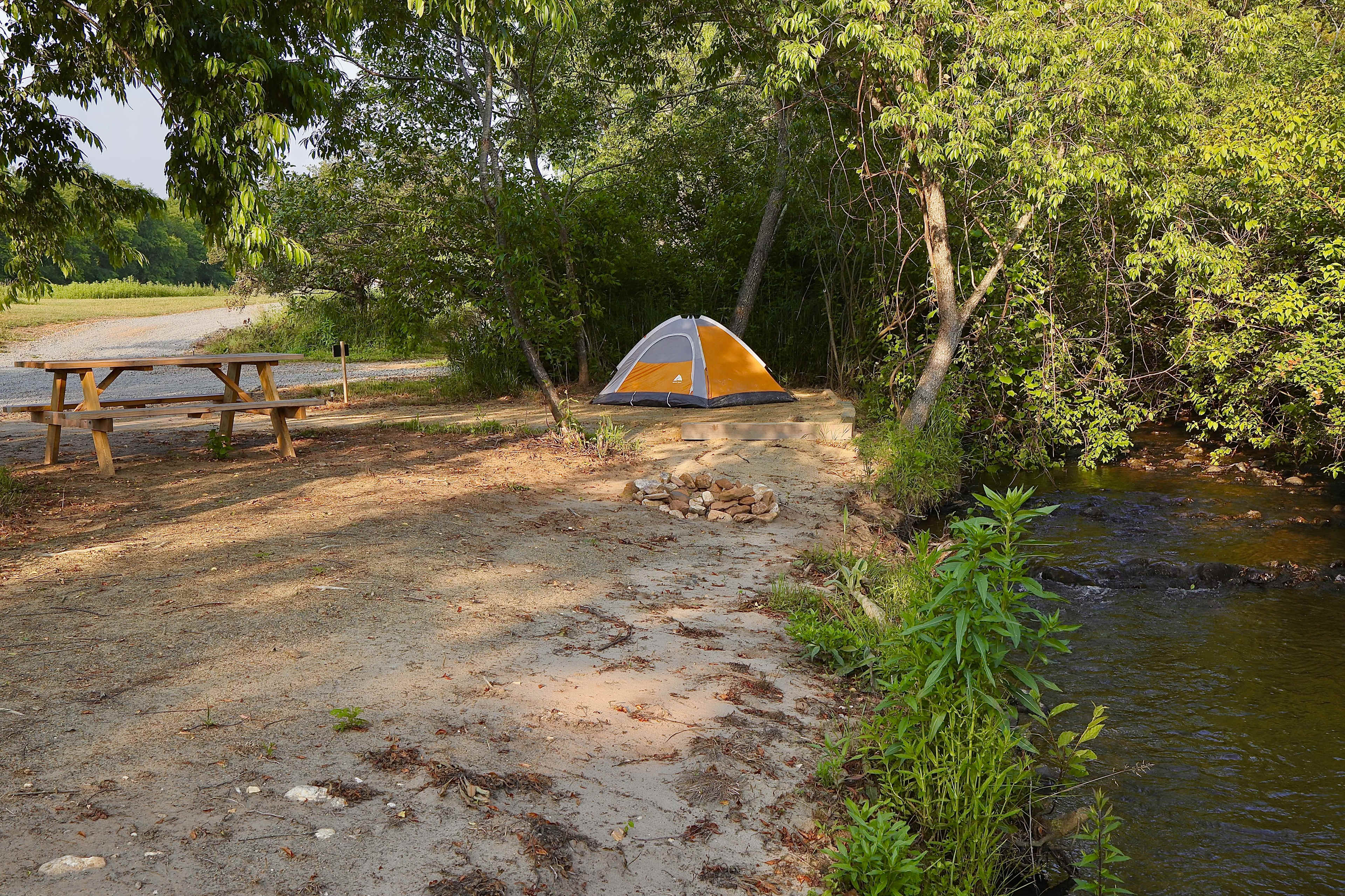 Picture of the site