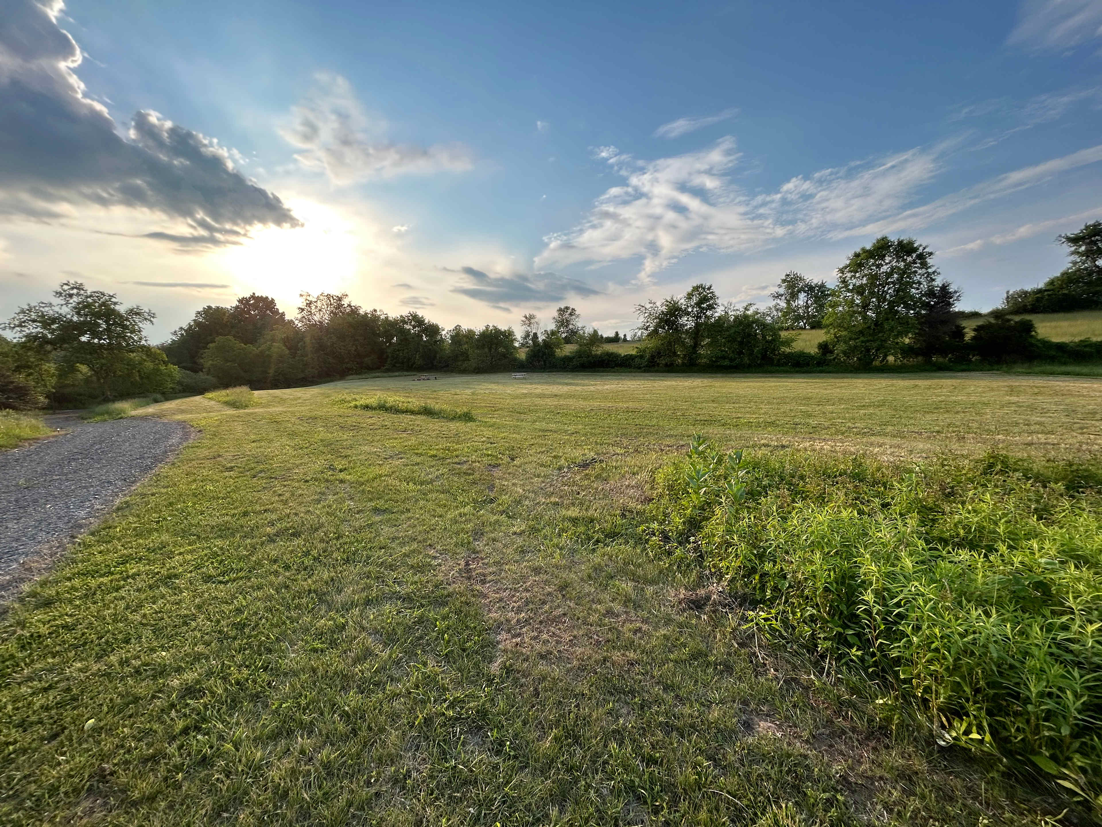 Picture of the site