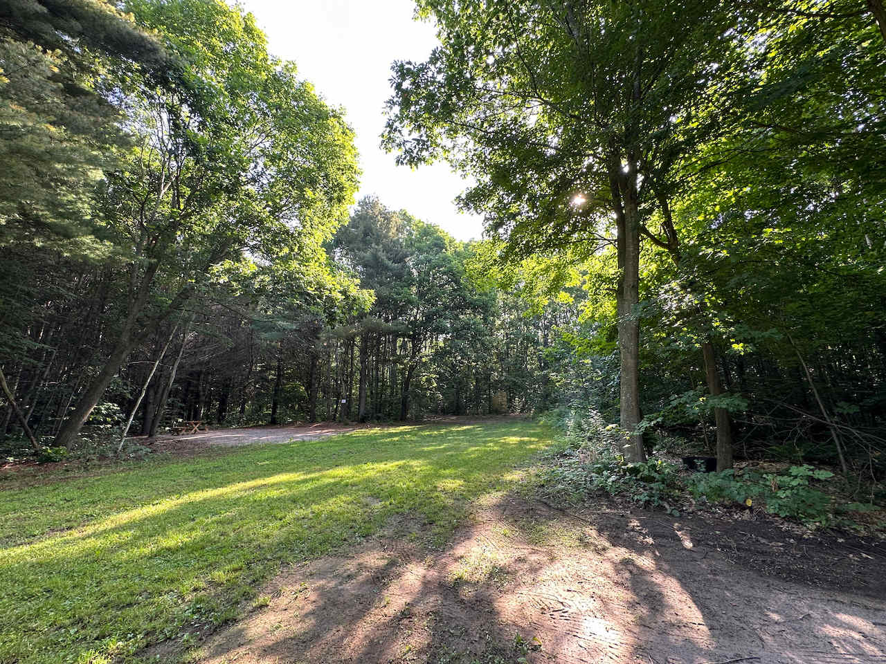 Picture of the site