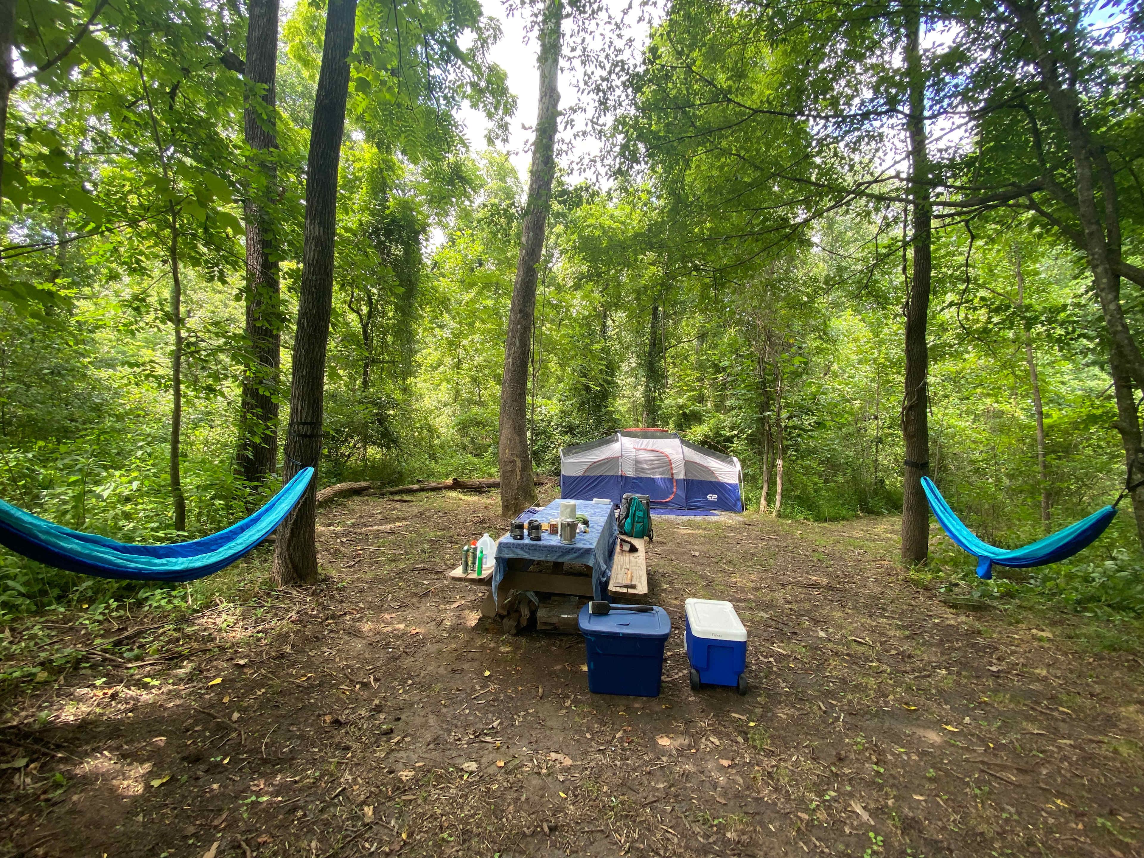 Picture of the site