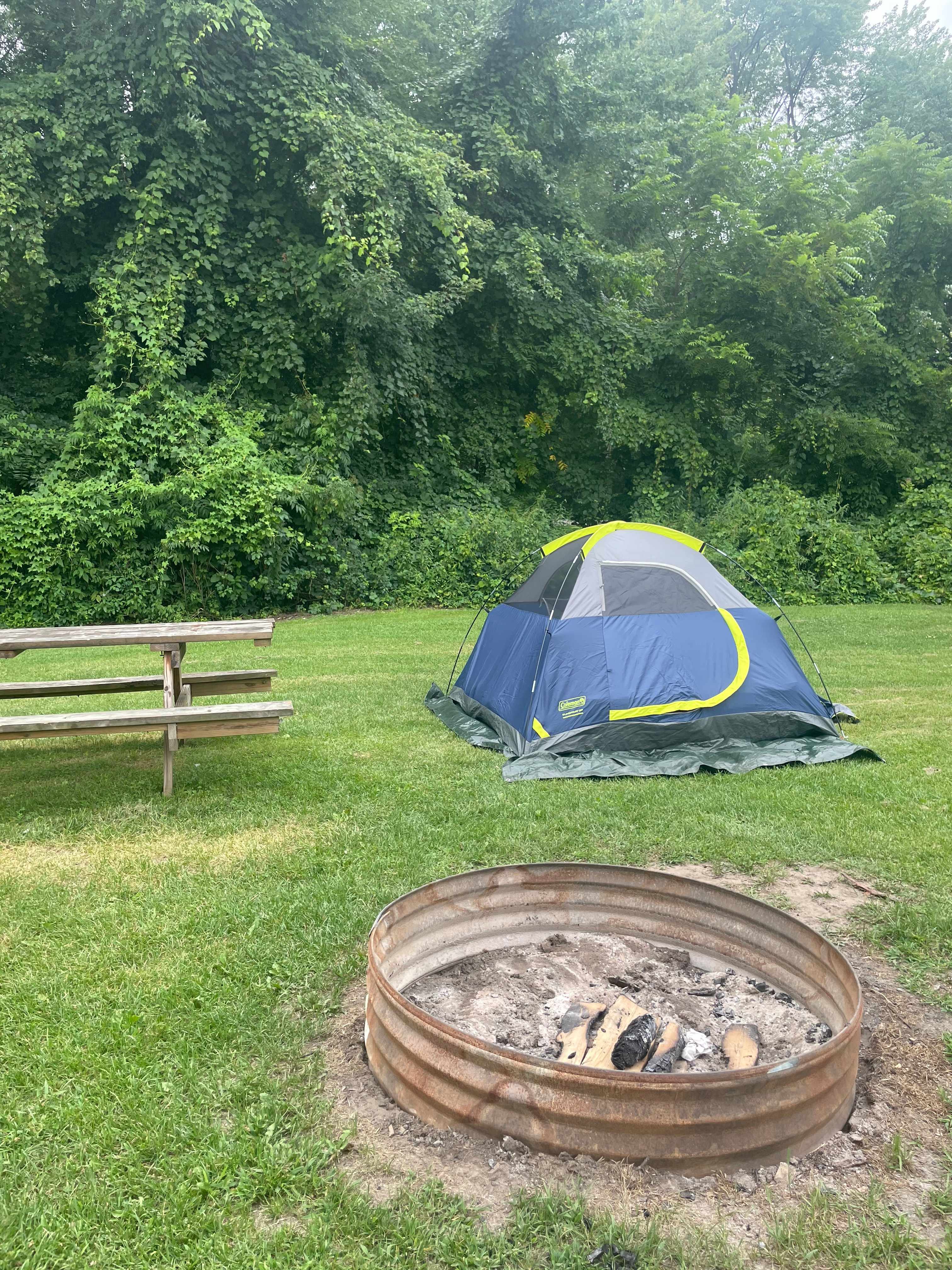 Picture of the site