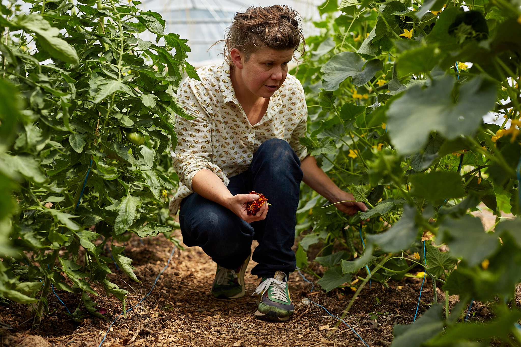 Sharon Cosgrove Photography
Jo working in the polytunnel
