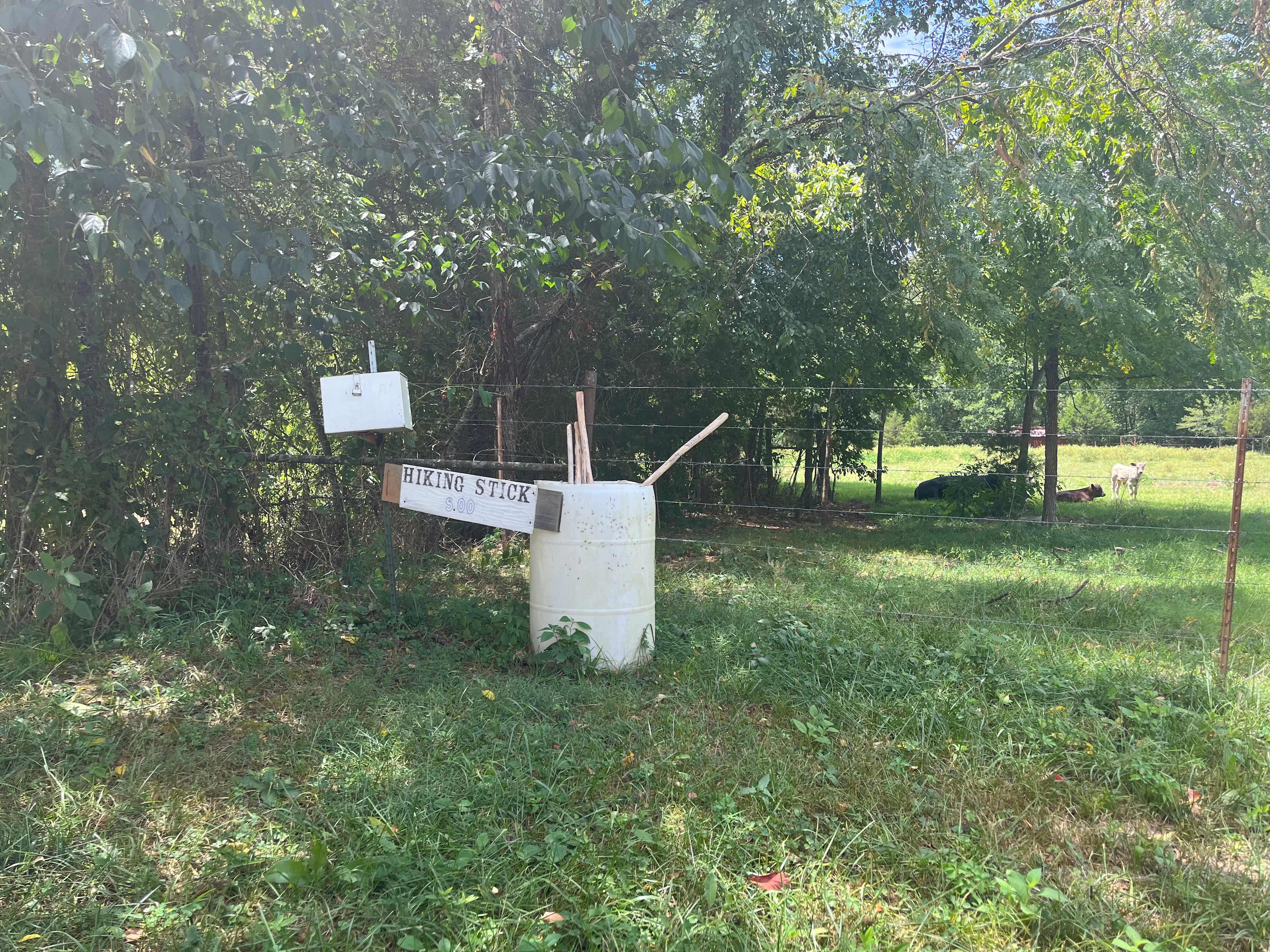 Picture of the site