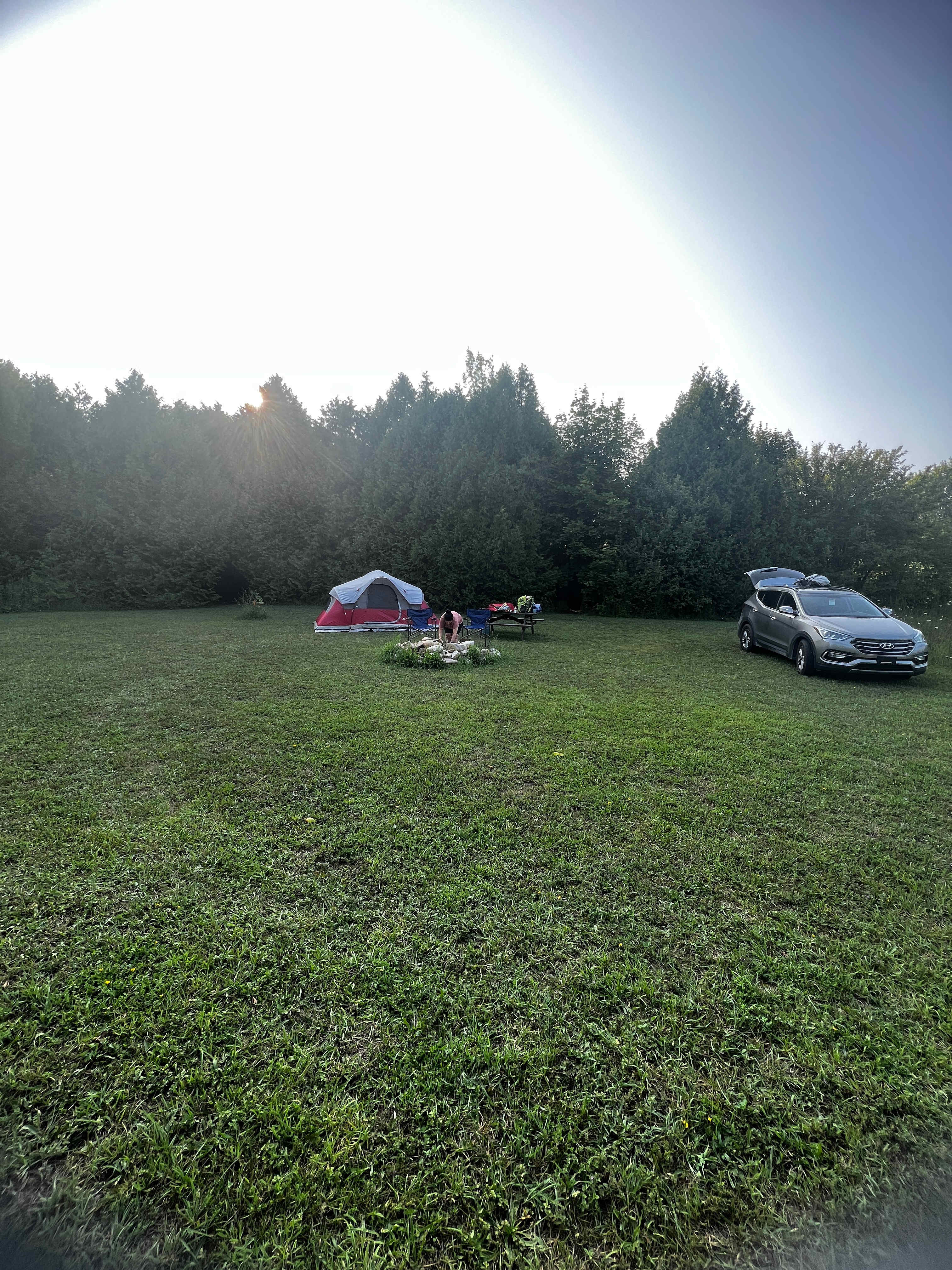 Picture of the site