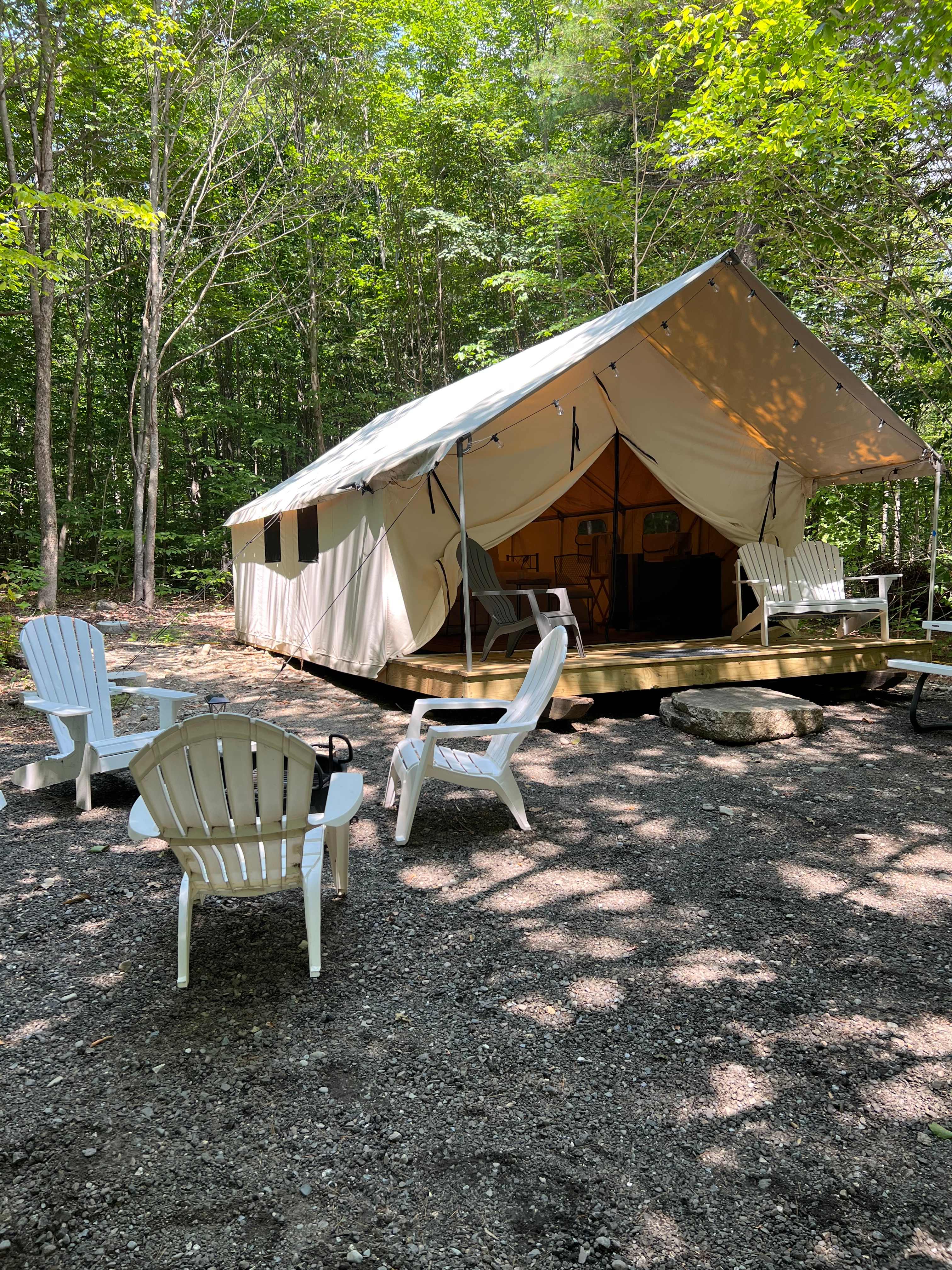 Straydog Property