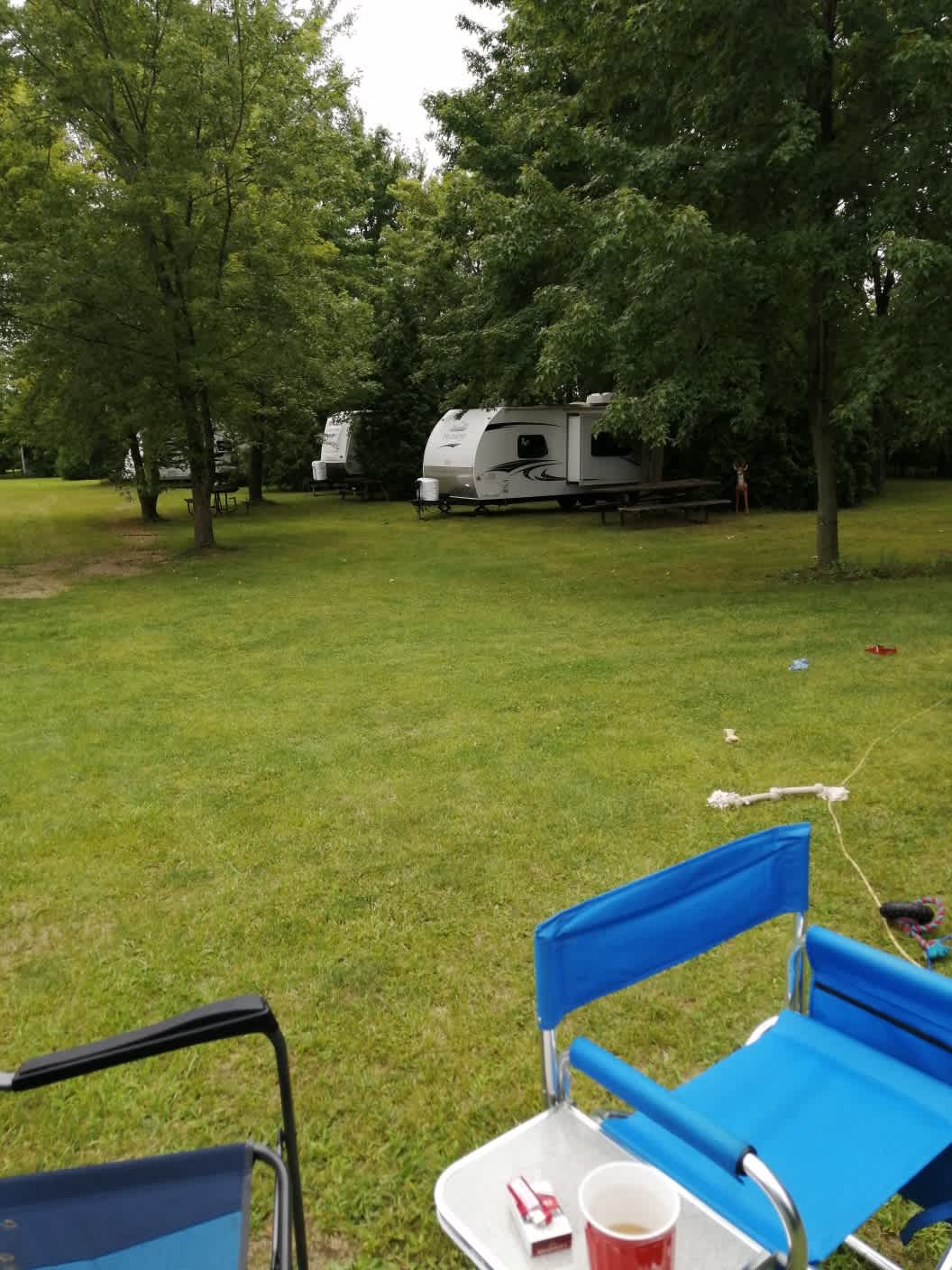 Bober woods camp