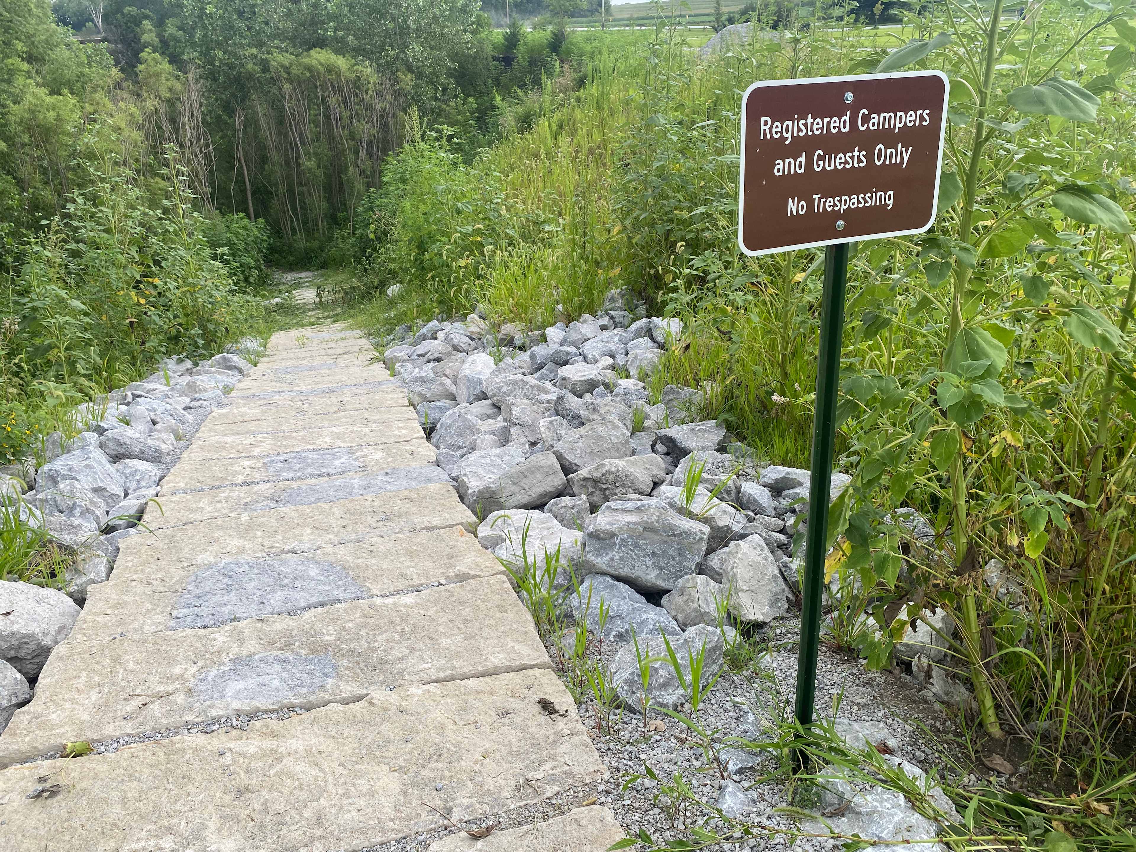 Picture of the site