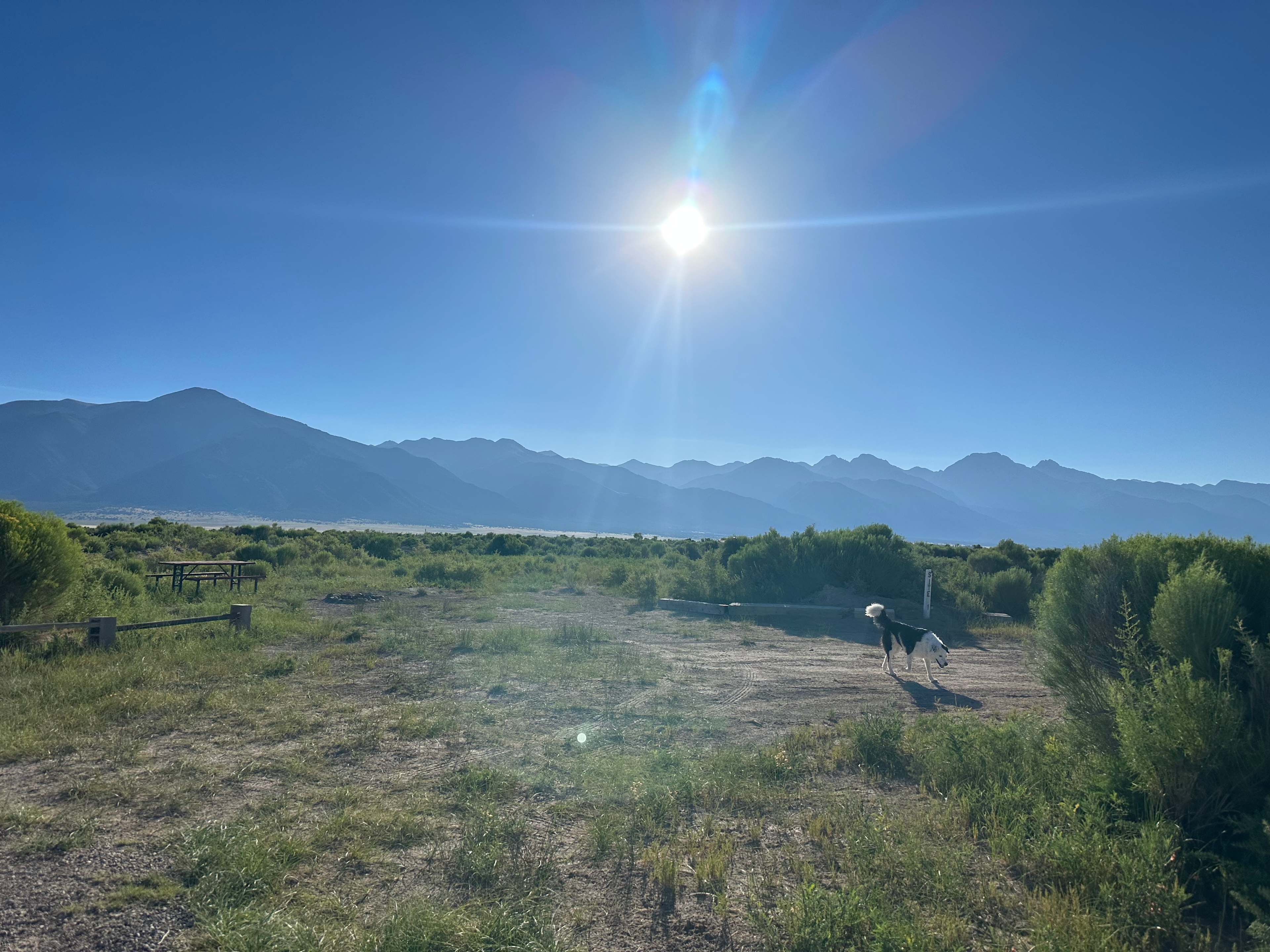 Picture of the site