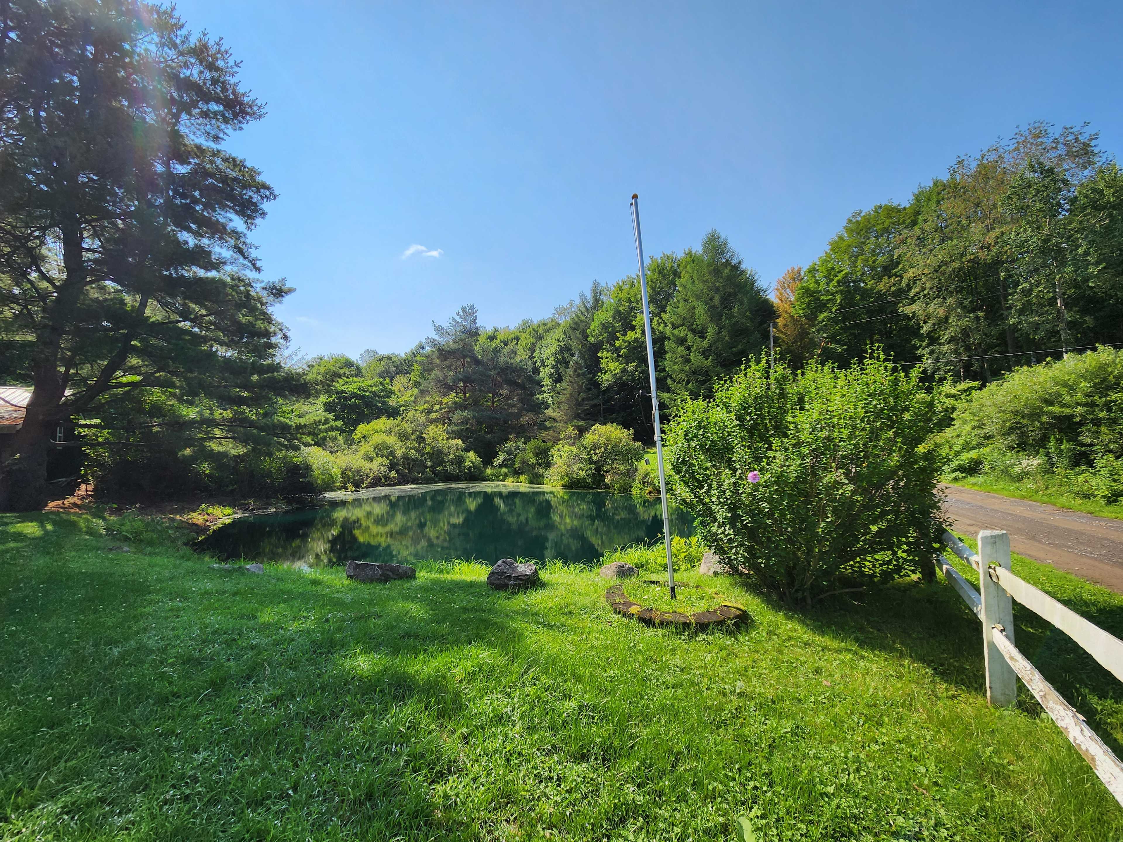 Hutchison Meadows