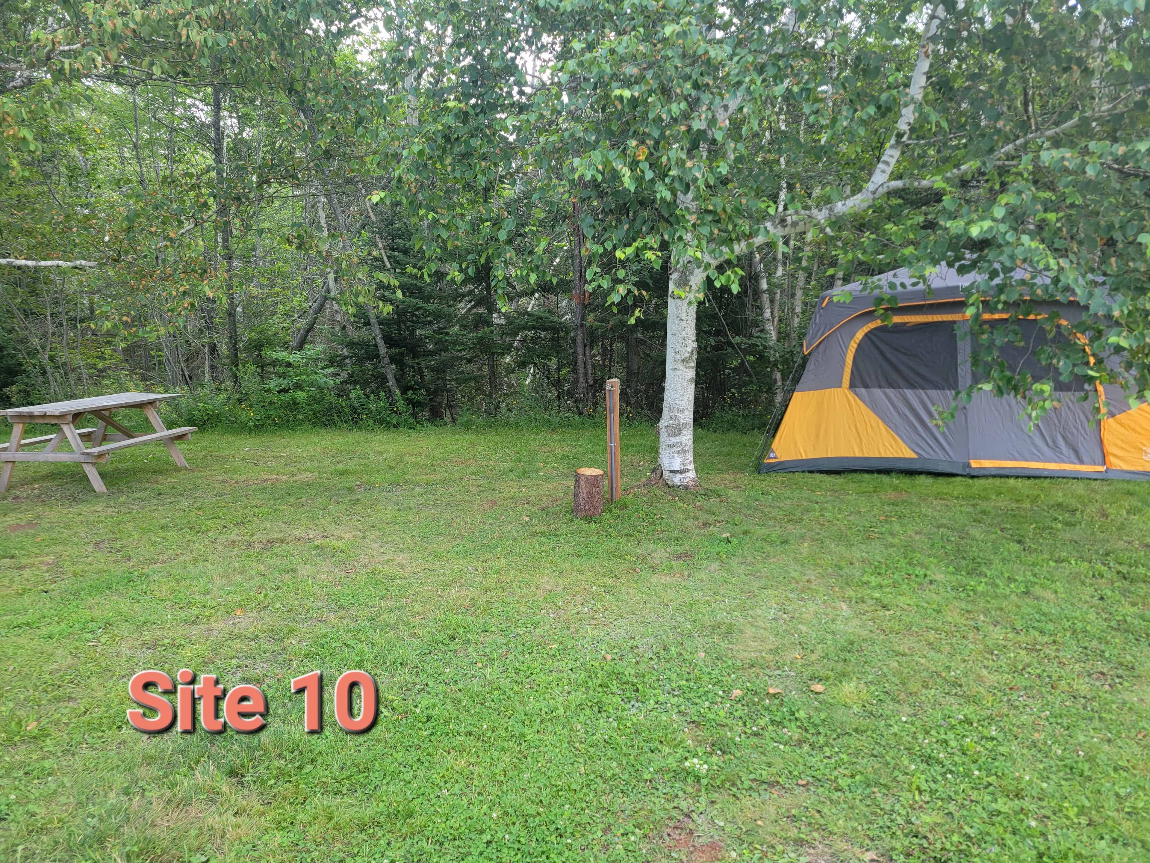 Picture of the site