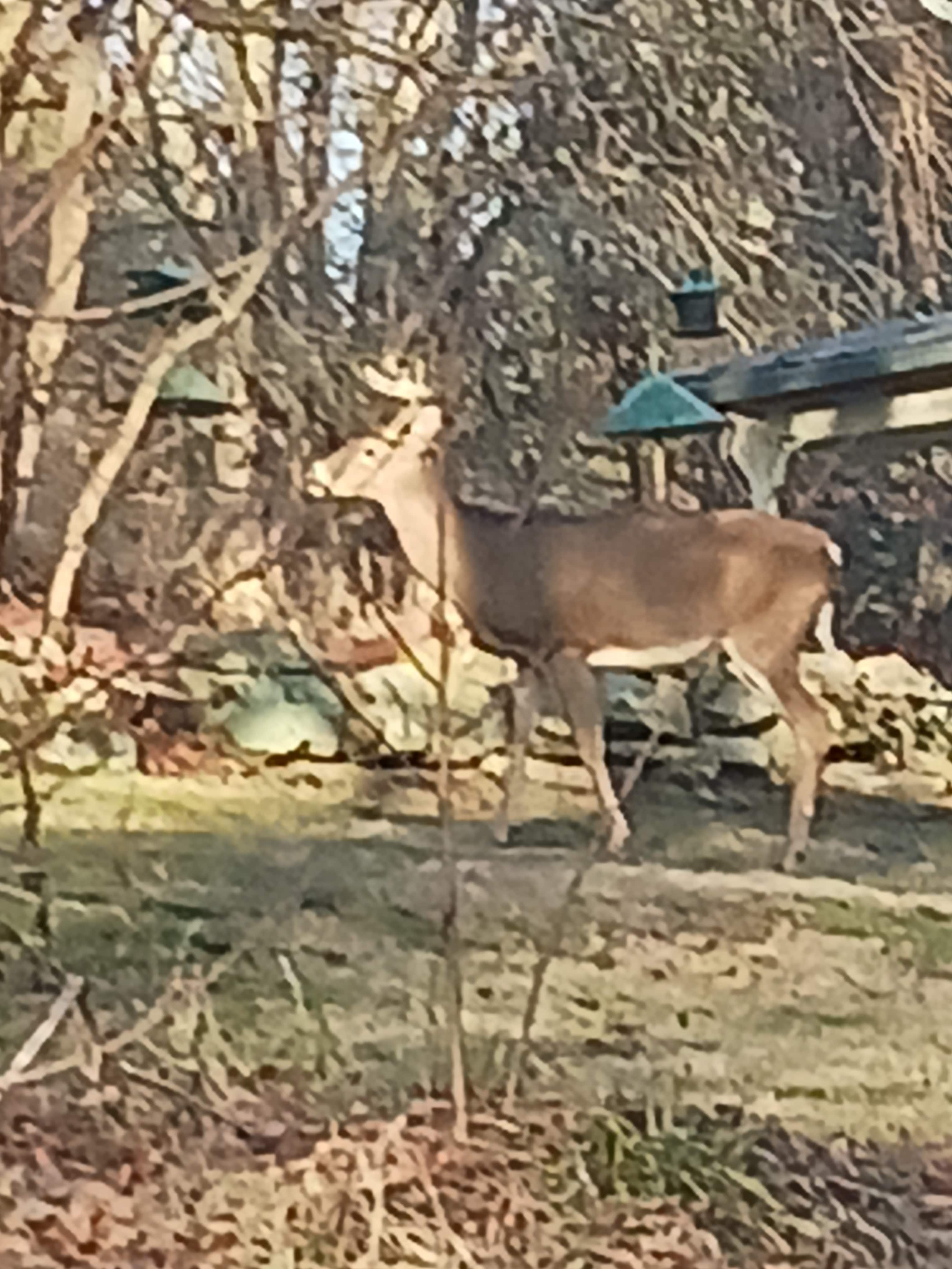 The Preserve