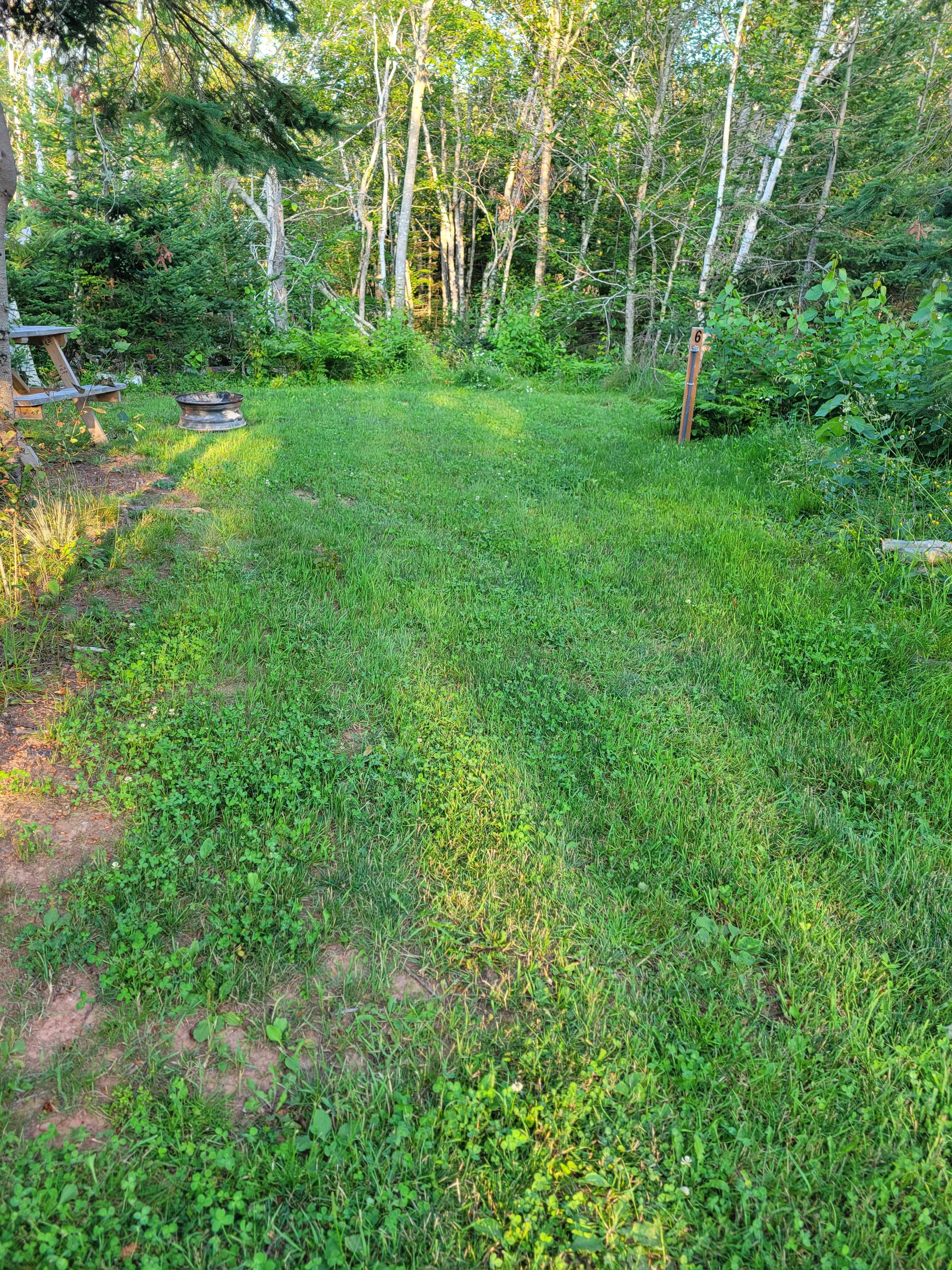 Picture of the site