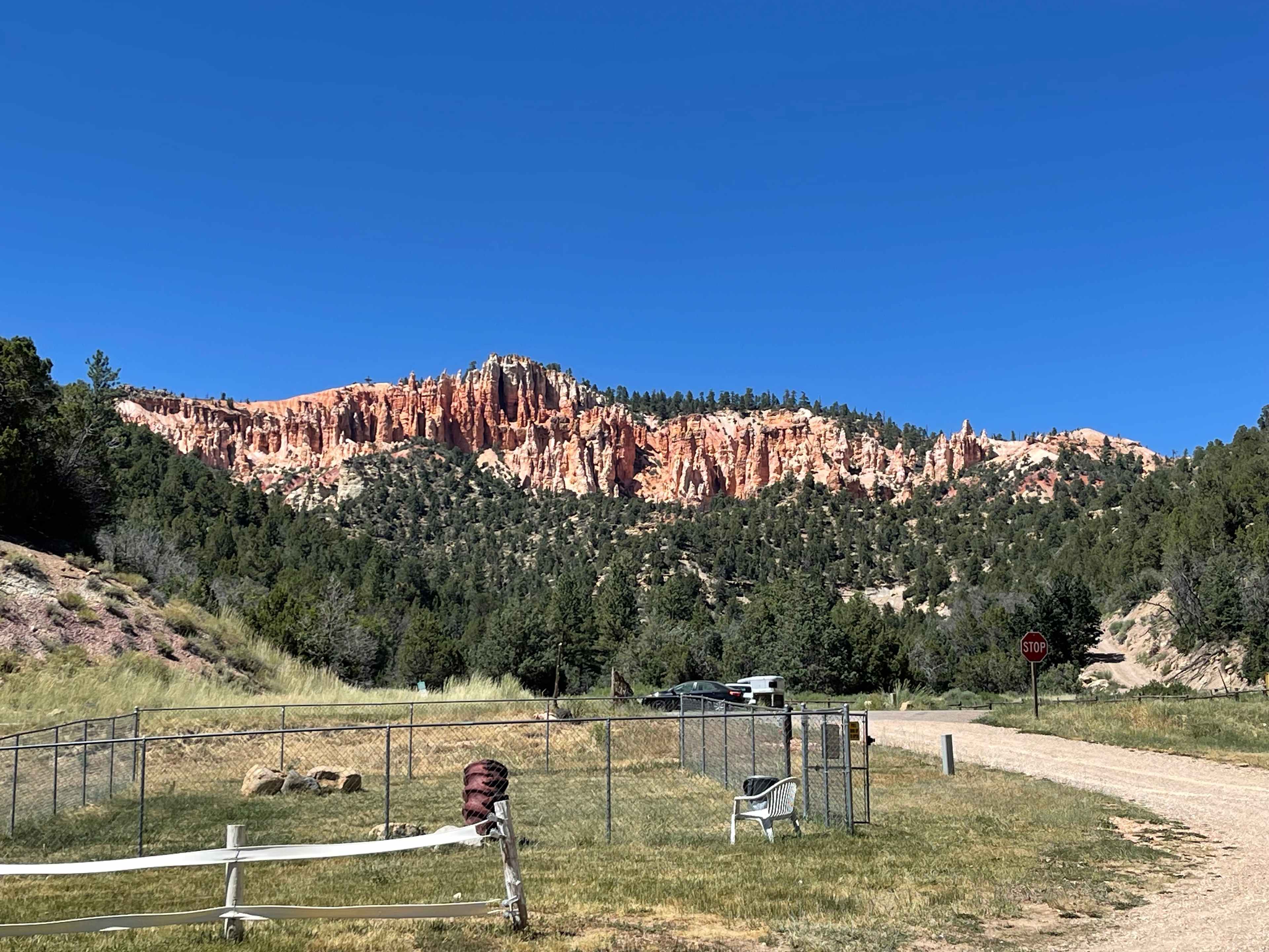 Picture of the site