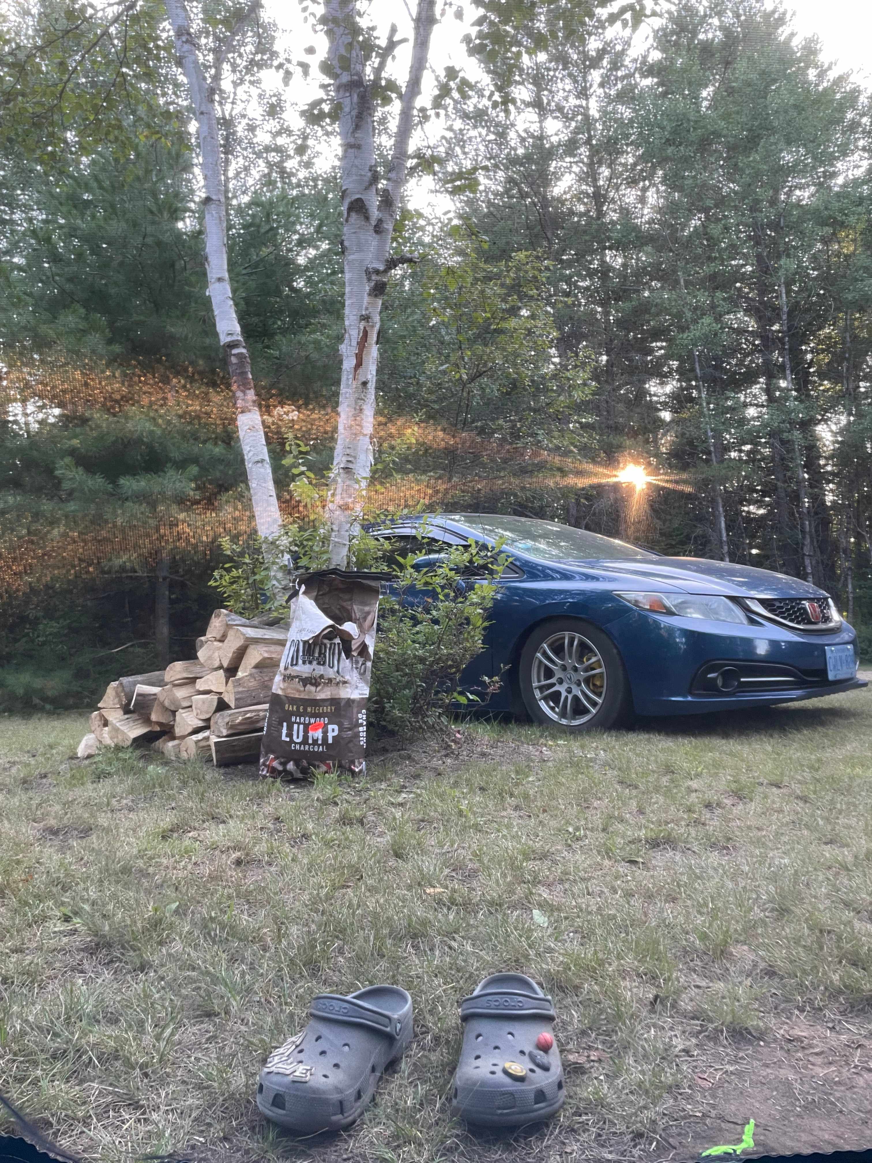 Picture of the site