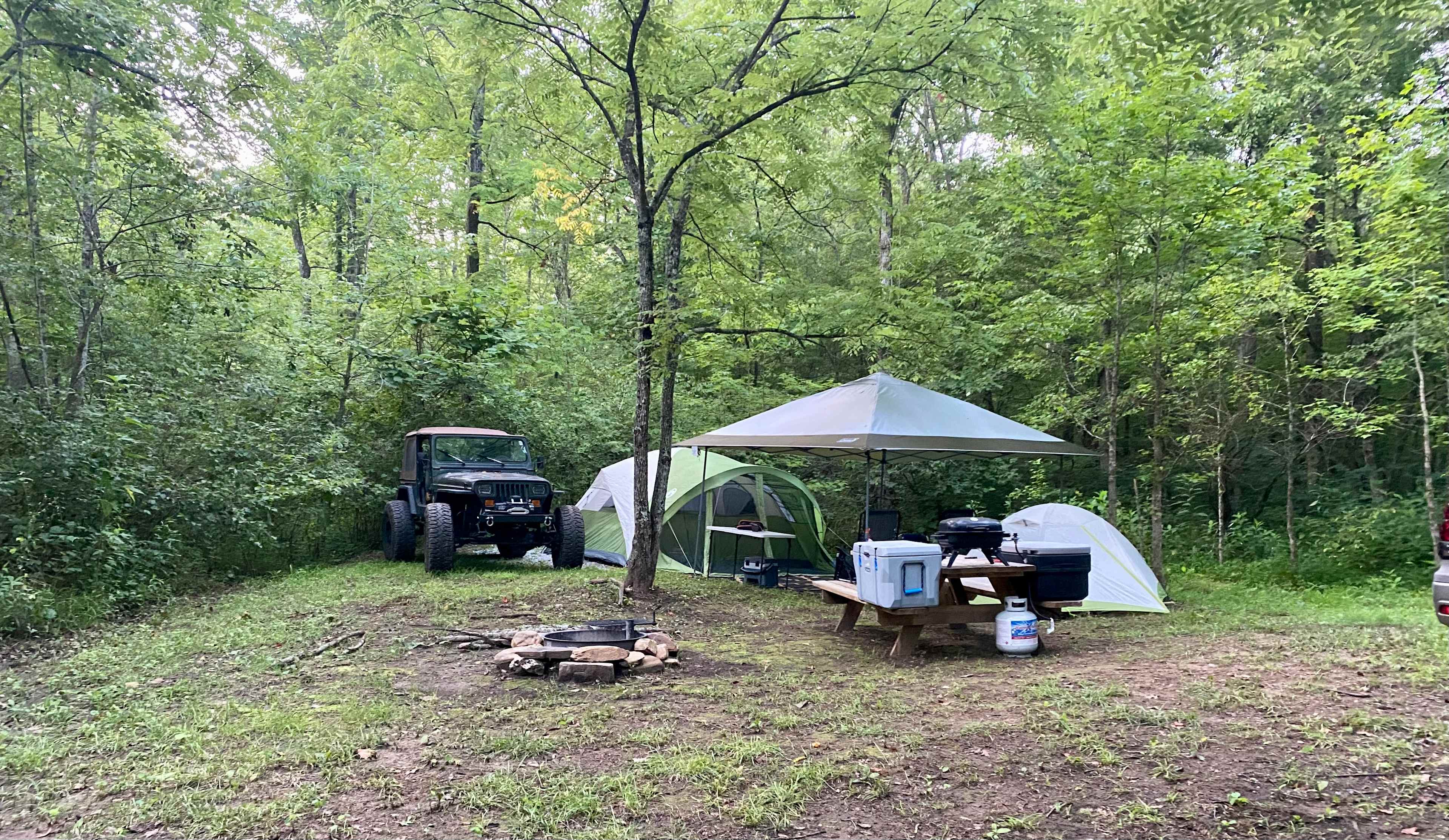 Picture of the site