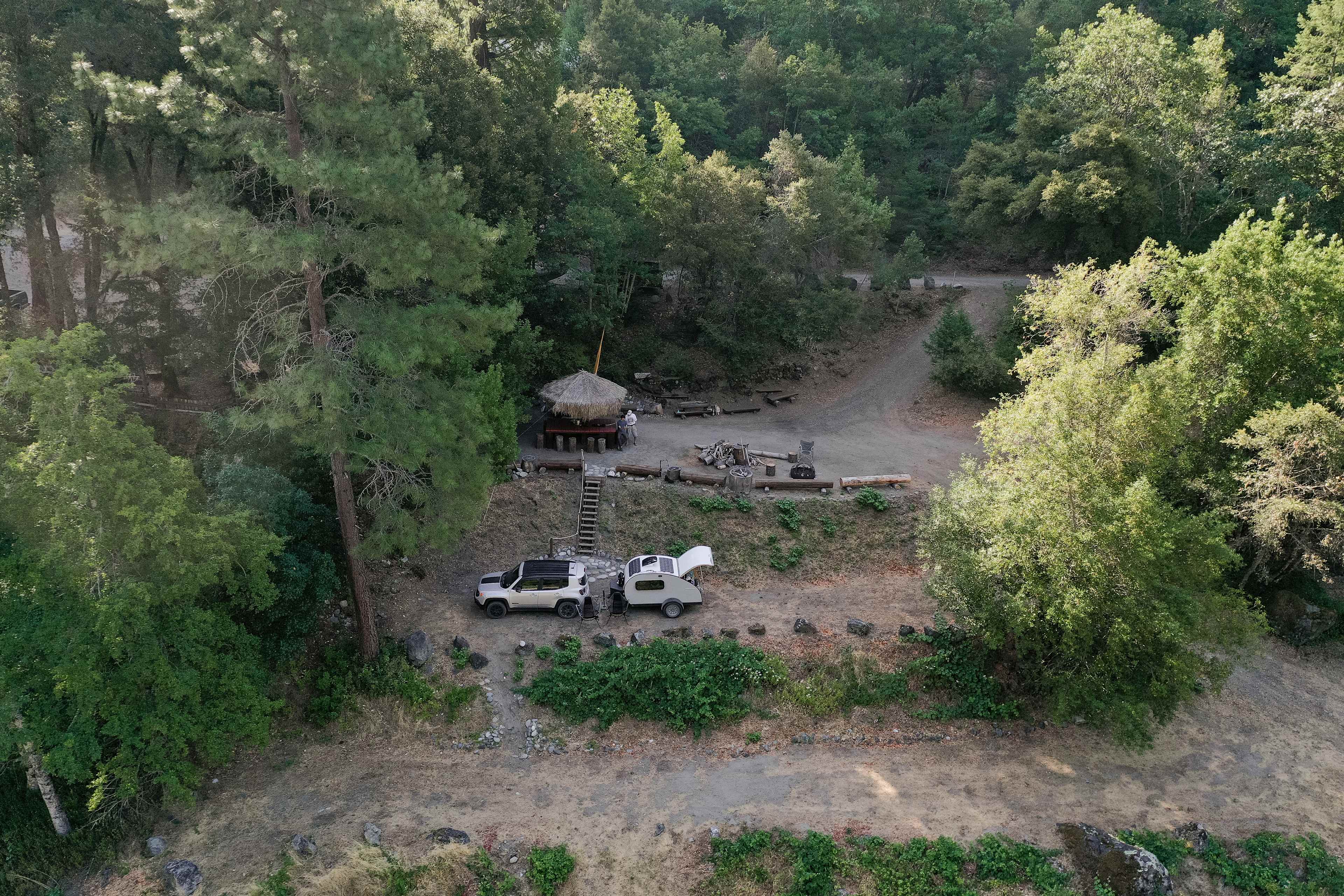 Animal Land