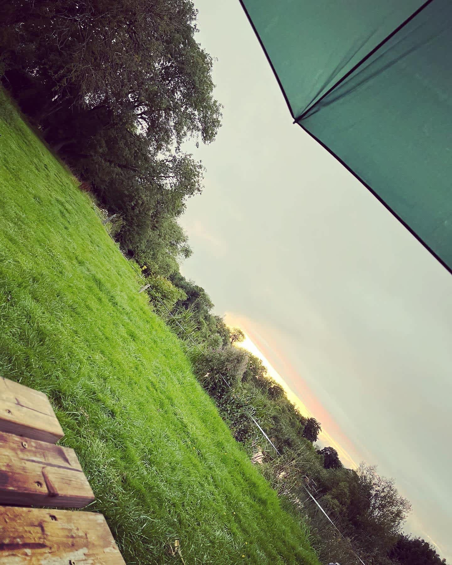 Camping By The River