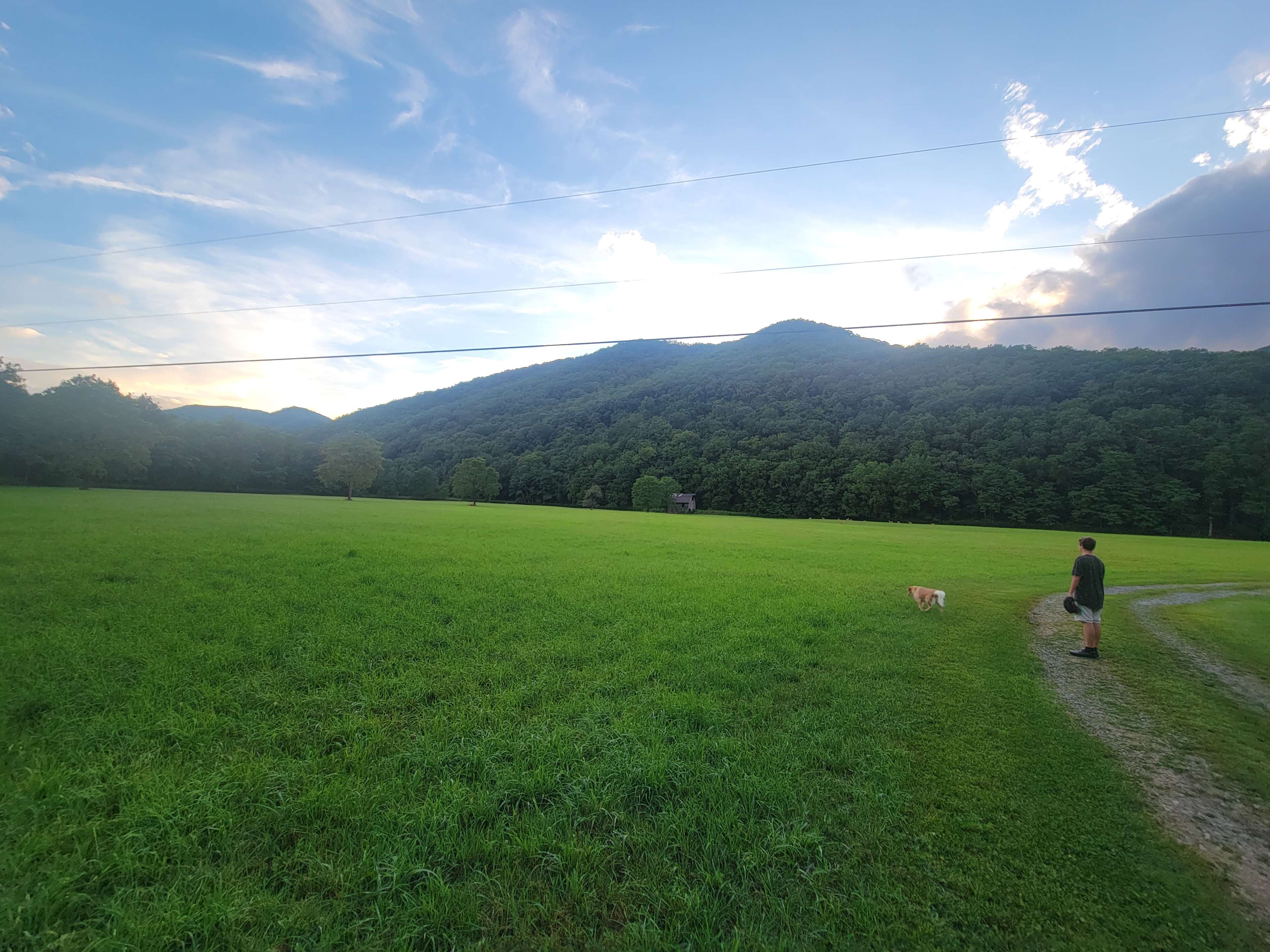 Picture of the site