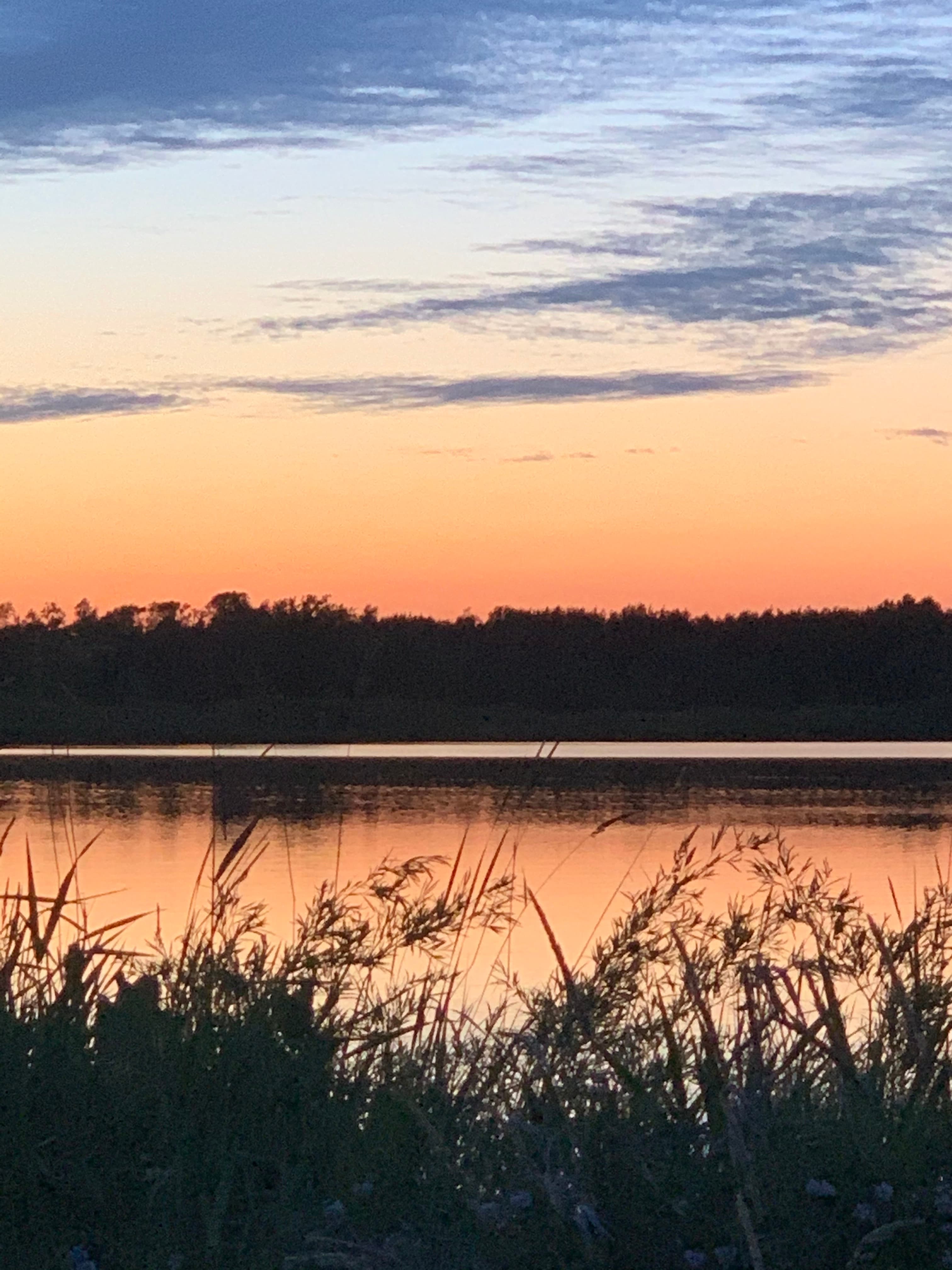 Blue Heron Homestead