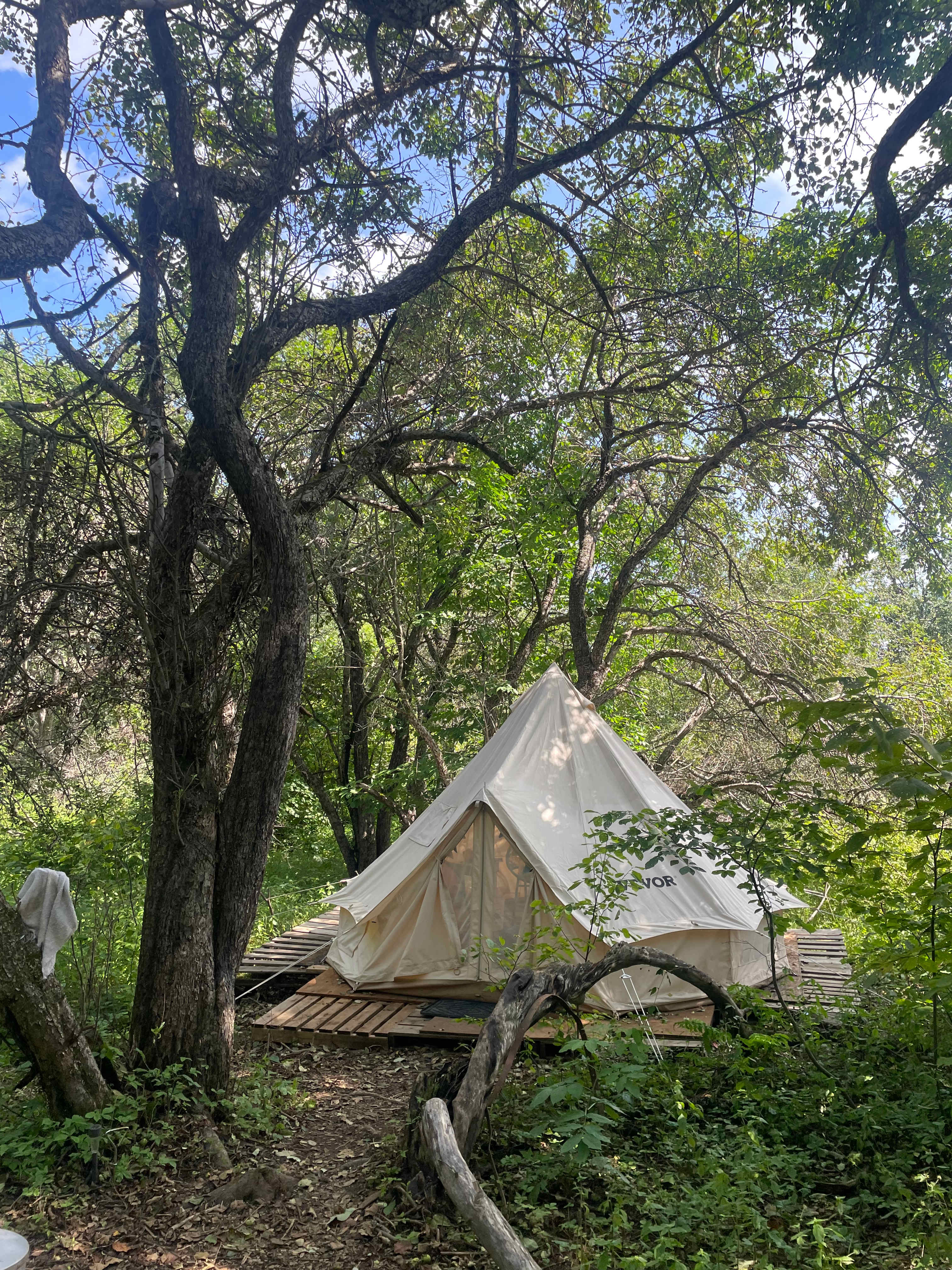 Picture of the site
