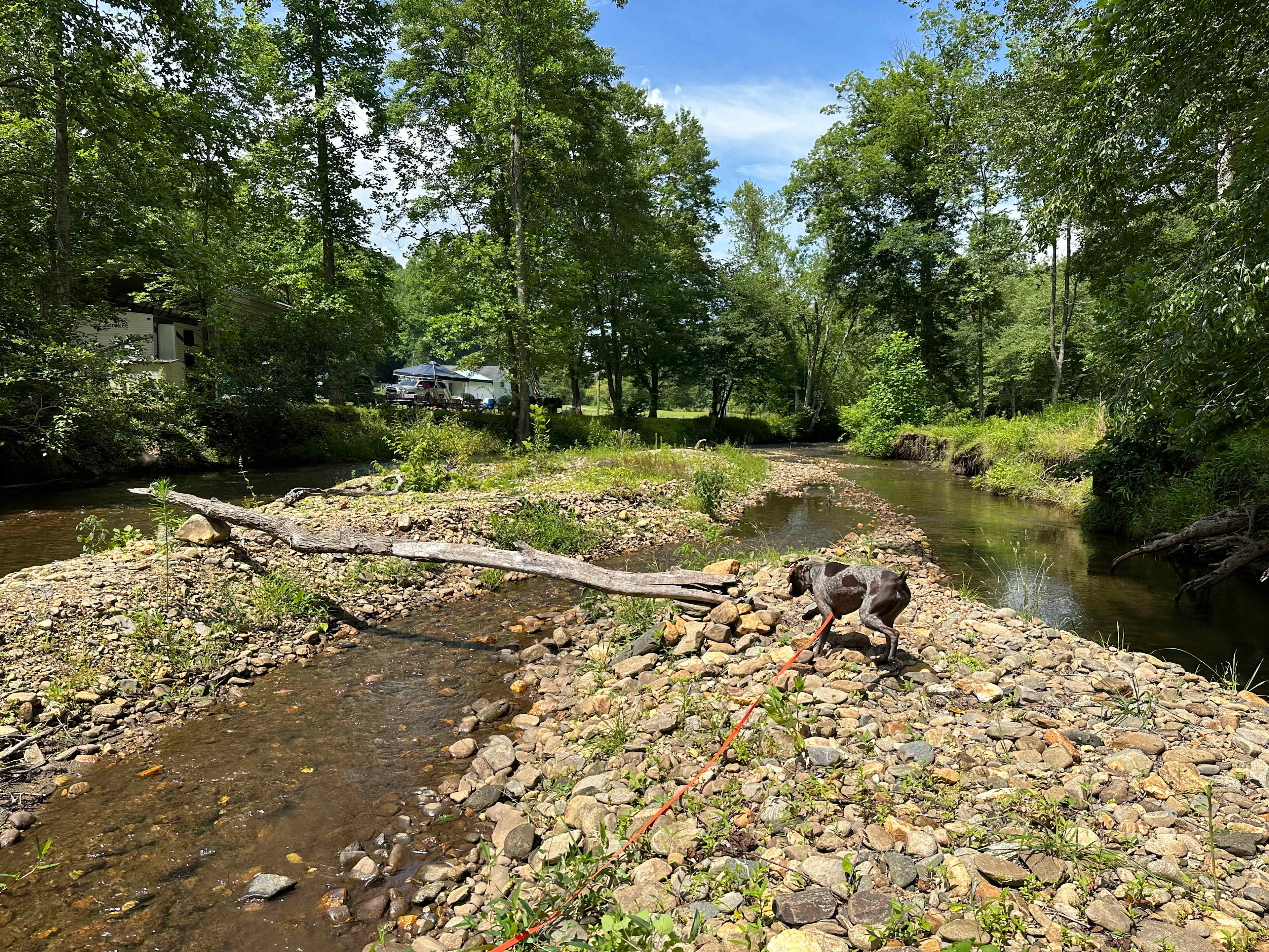 Coweeta Creek Campground