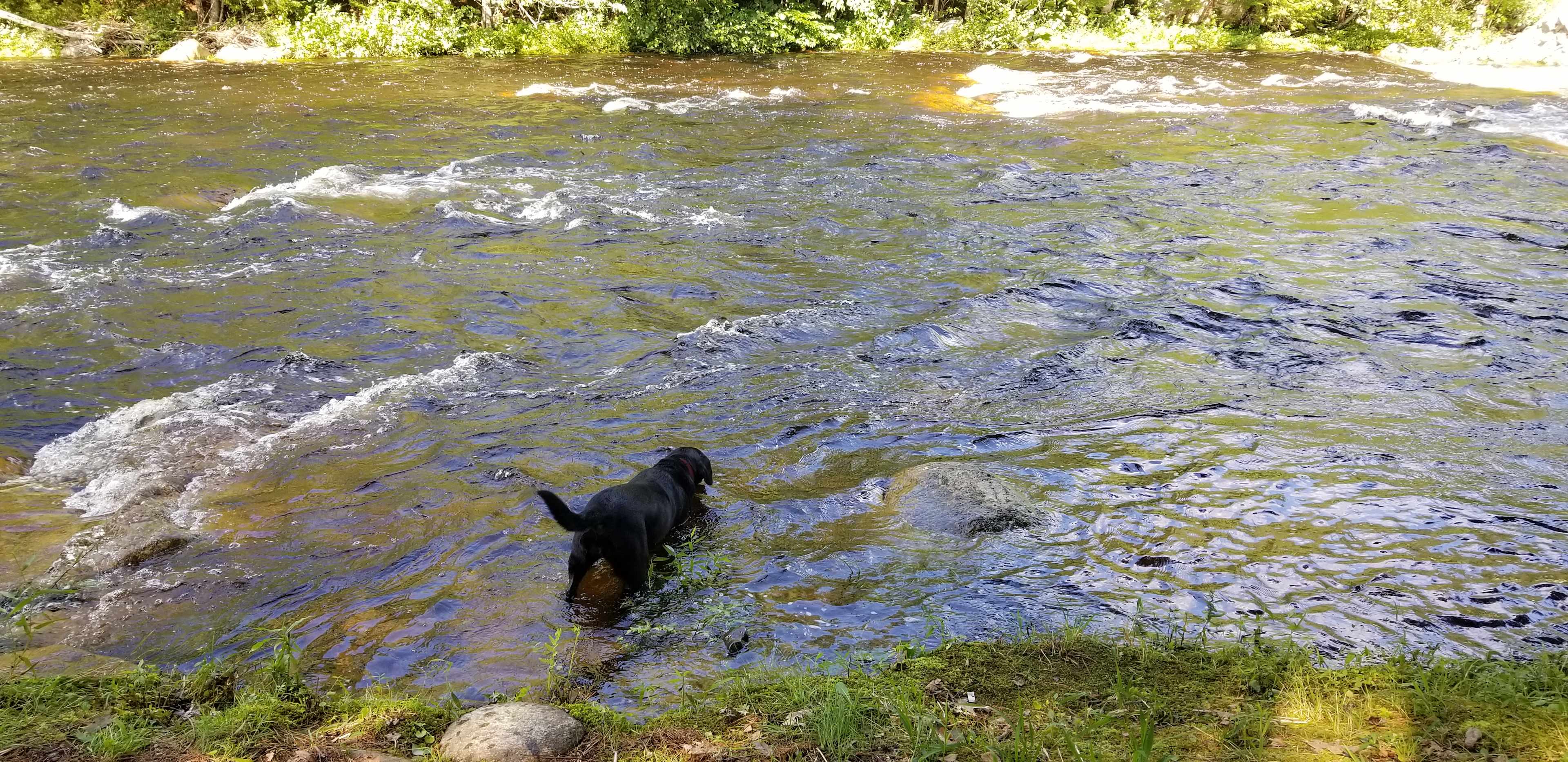 Stagecoach Falls