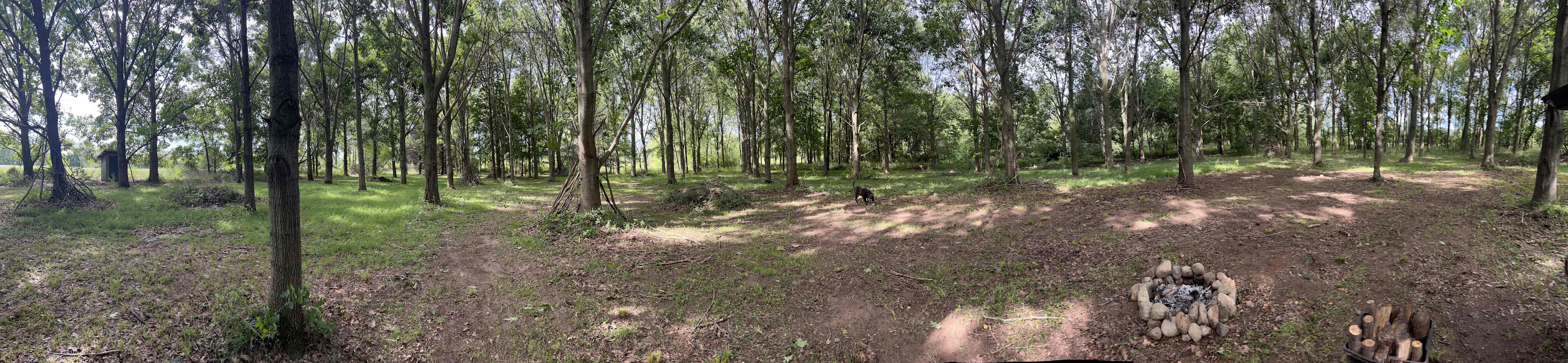 White Pine Farm HipCamping