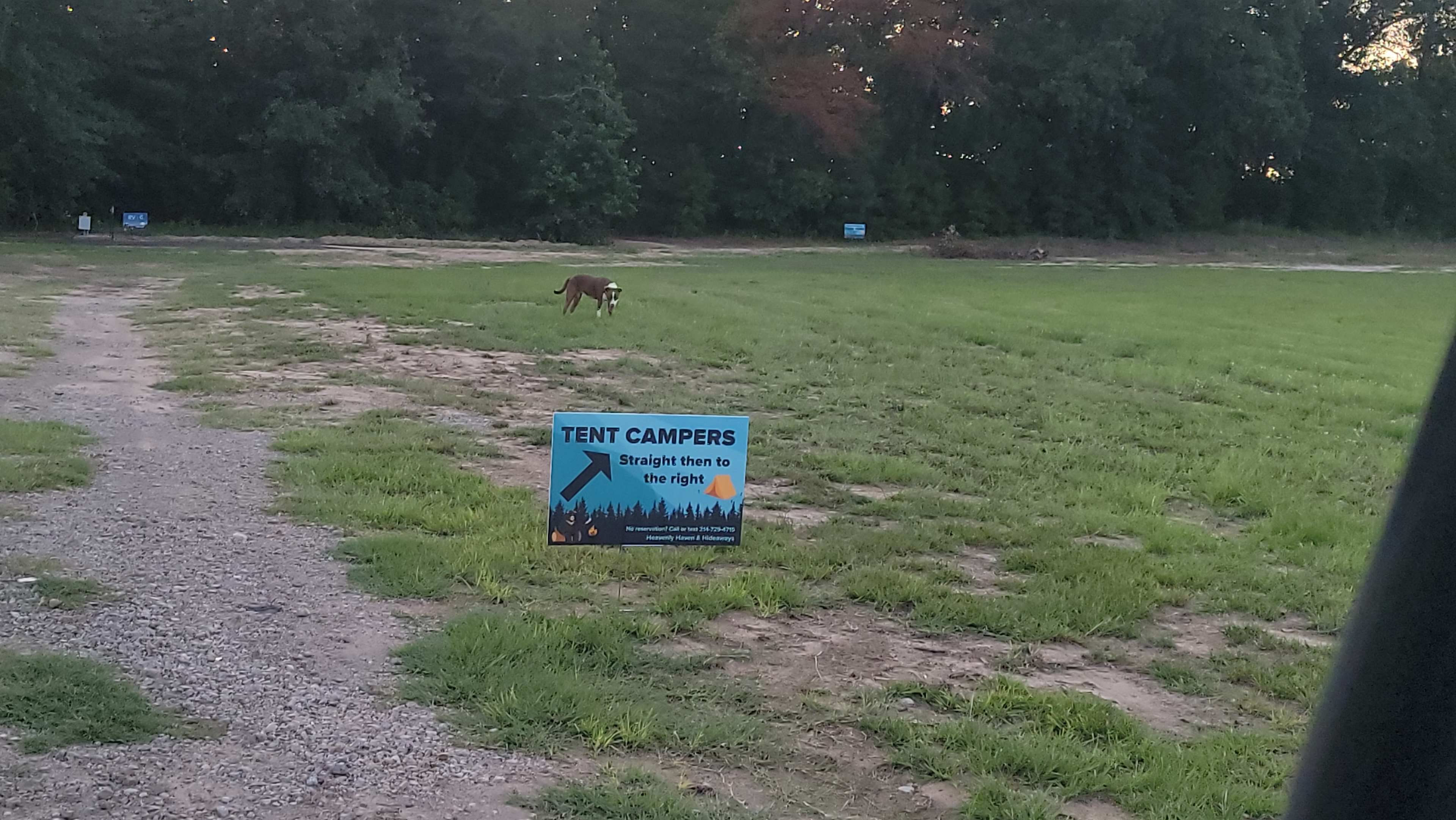 Picture of the site