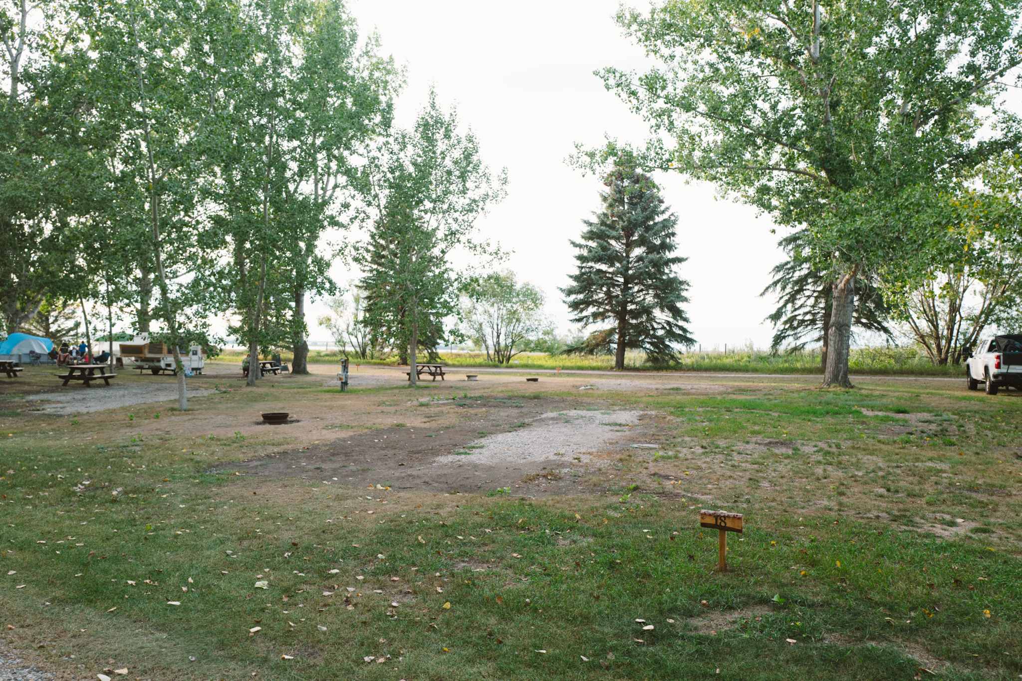 Picture of the site