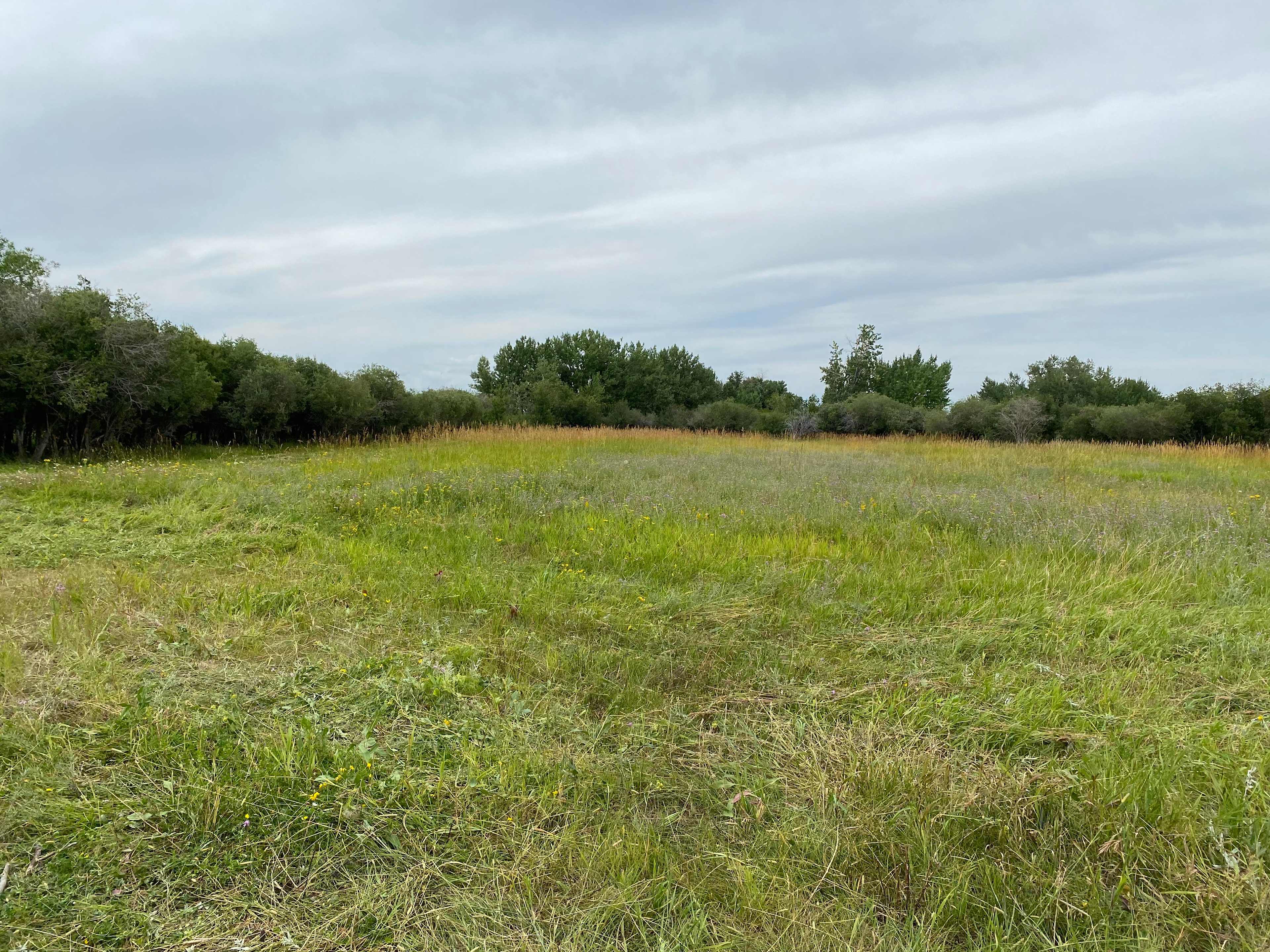 Wide open land