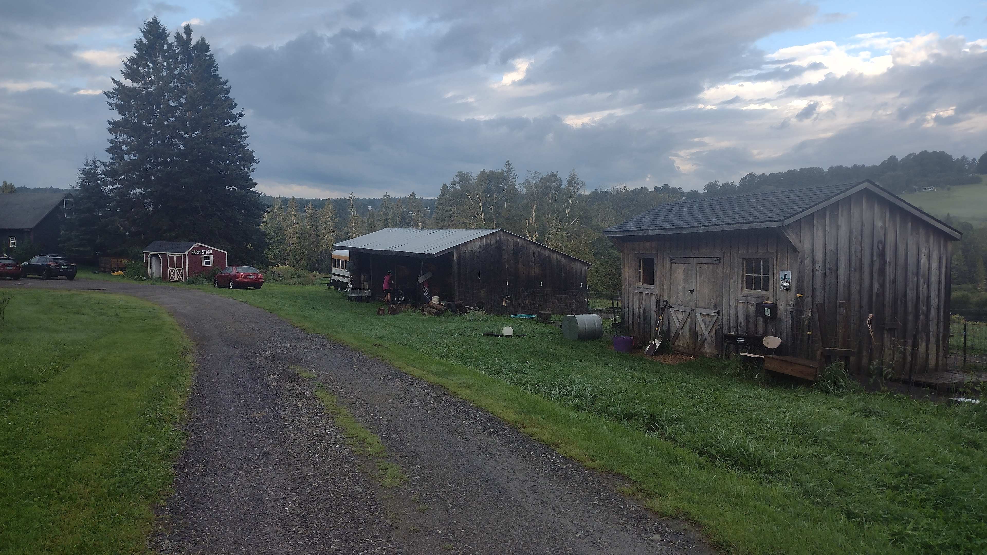 Picture of the site