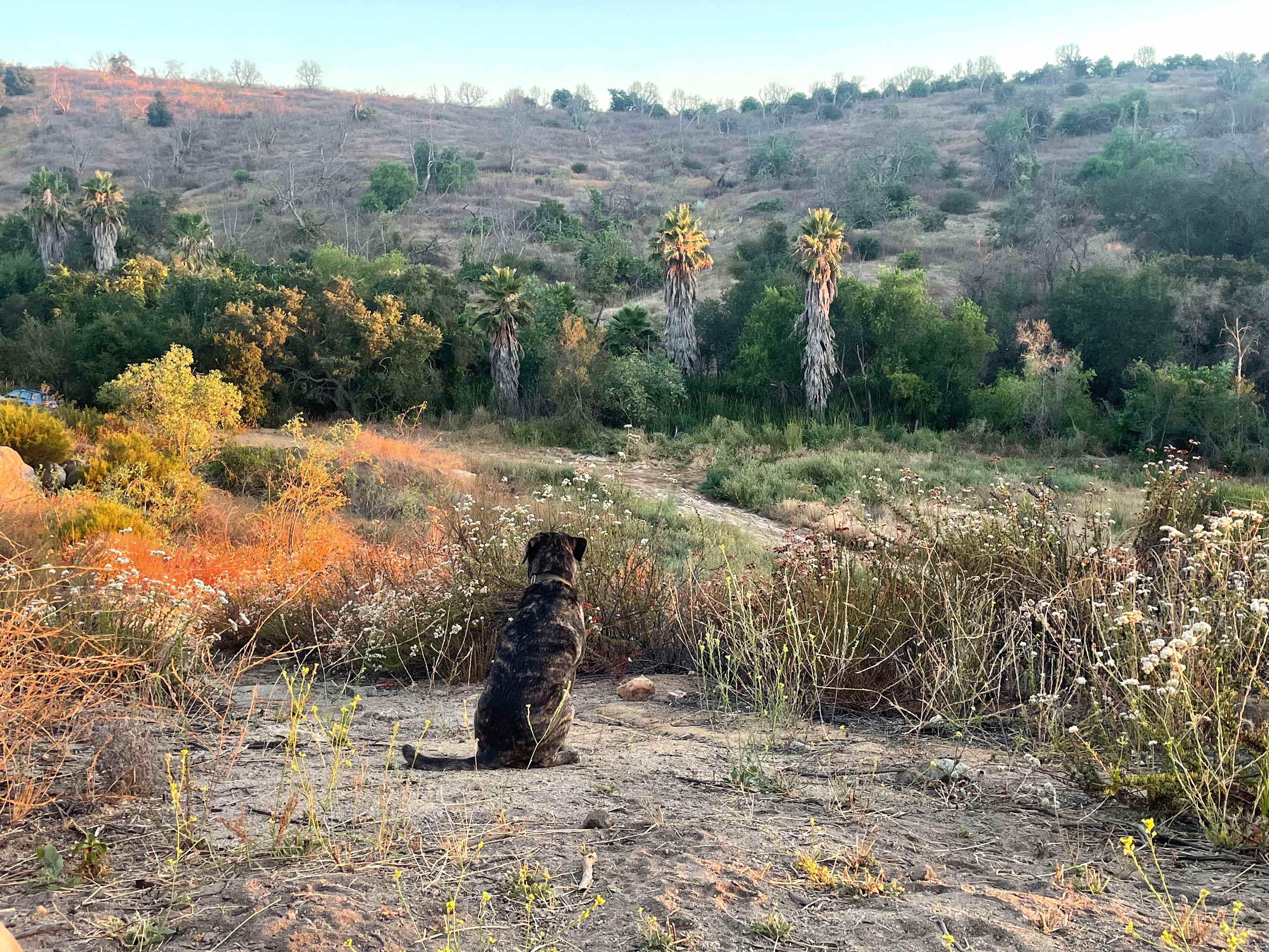 Thundering Hawk Retreat