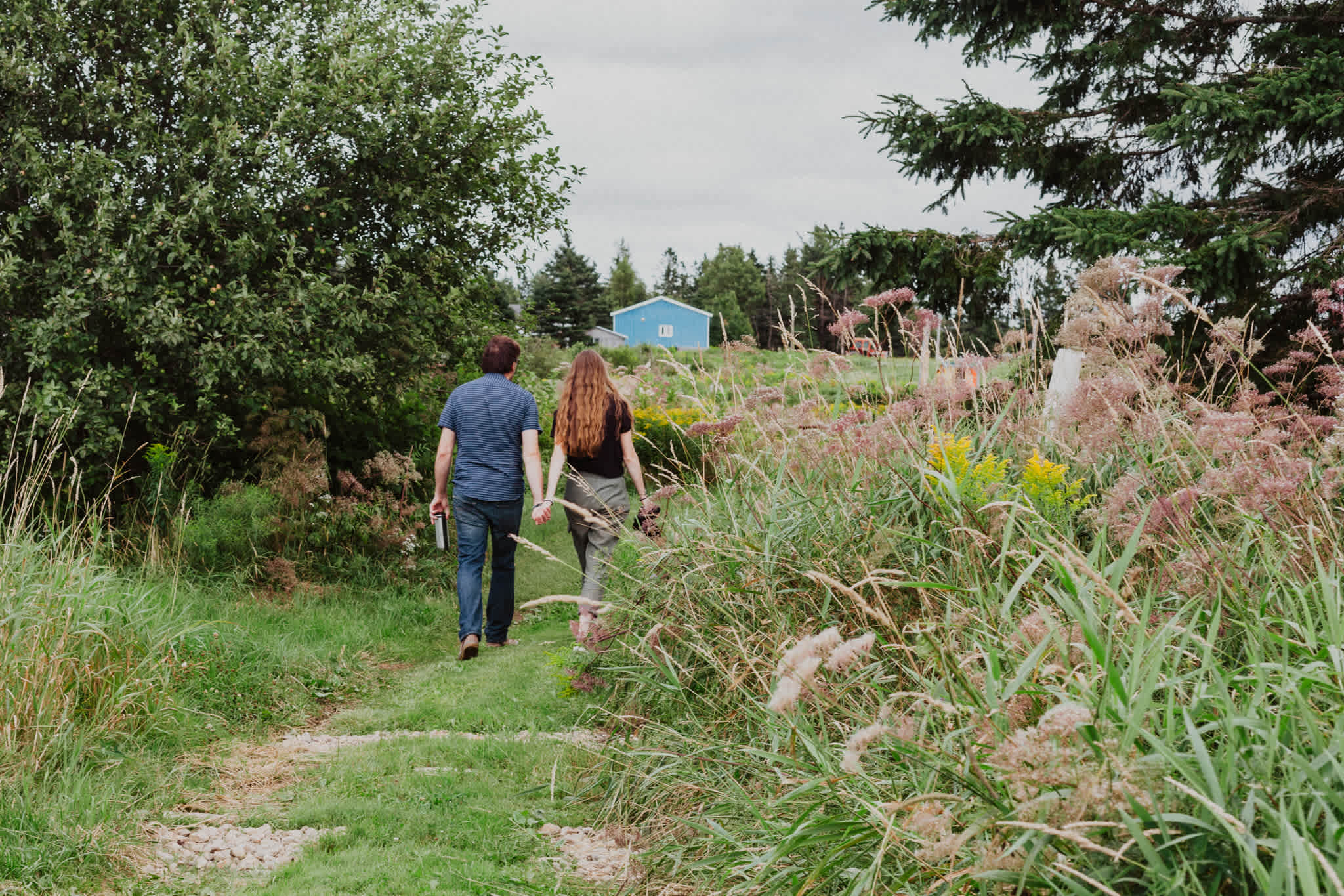 Trail leading from the cabin up towards the house and barn.