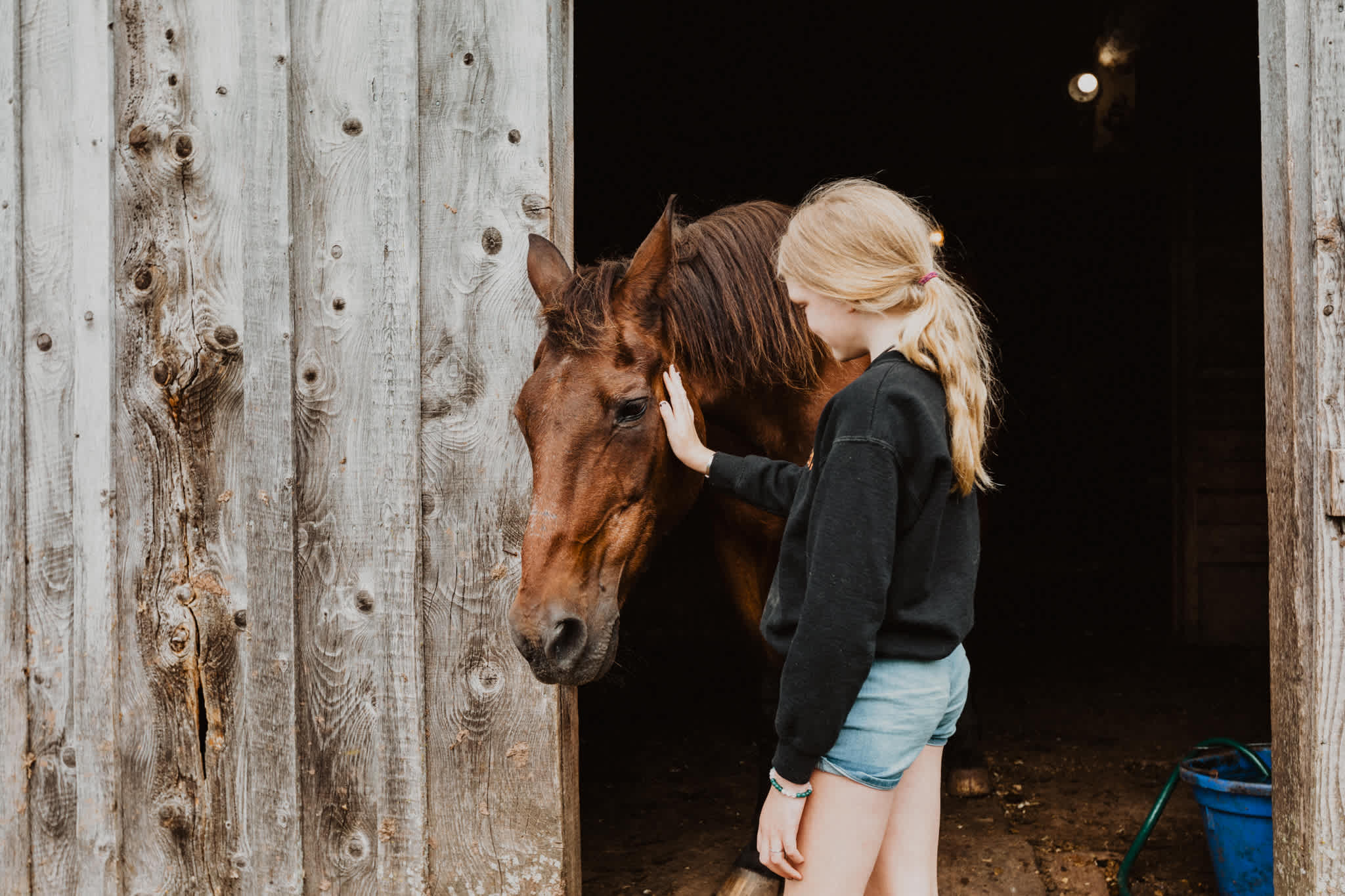 Be sure to ask Gayle about her farm animals and how old her oldest horse is!