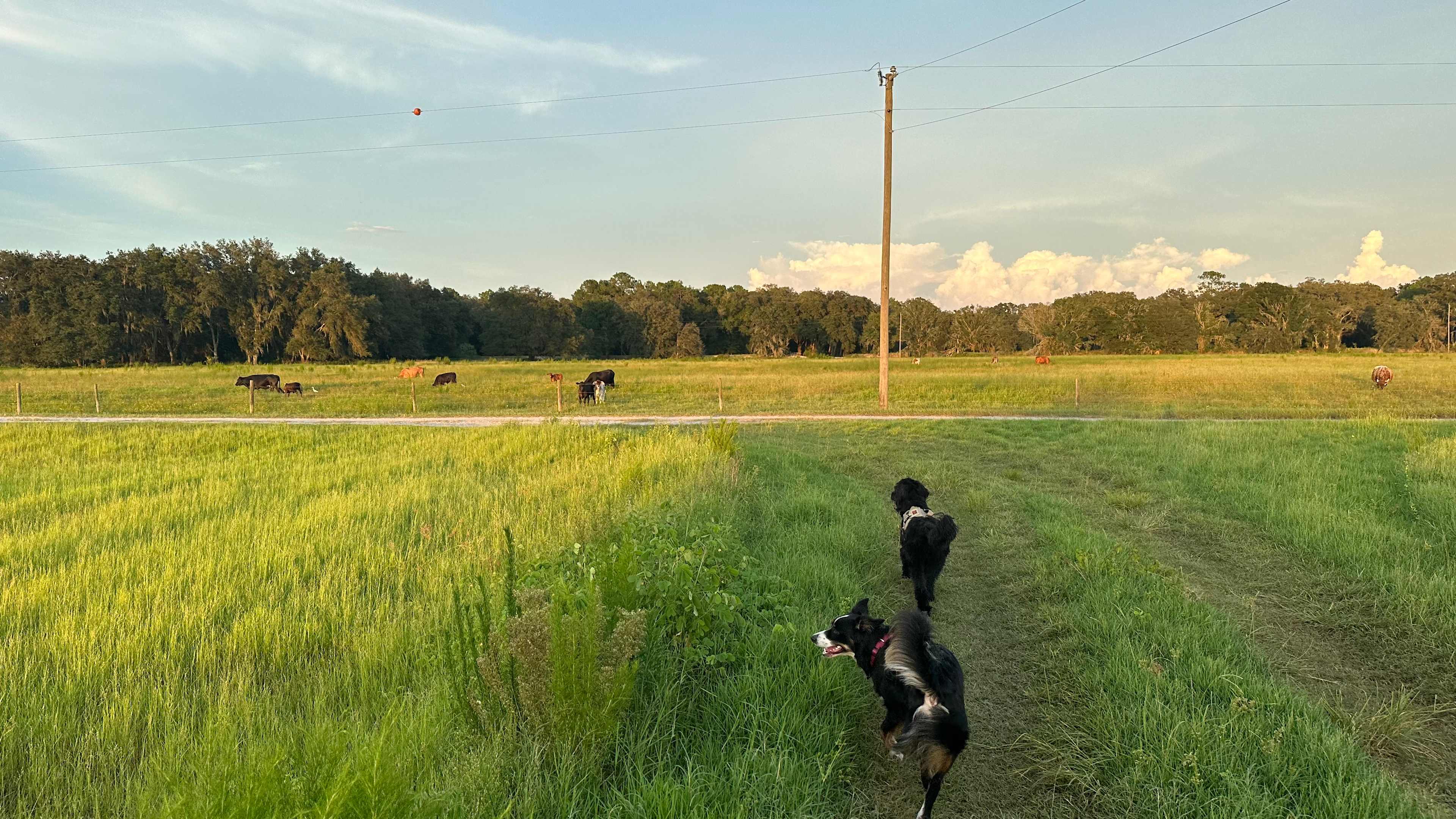 Find Out Farms