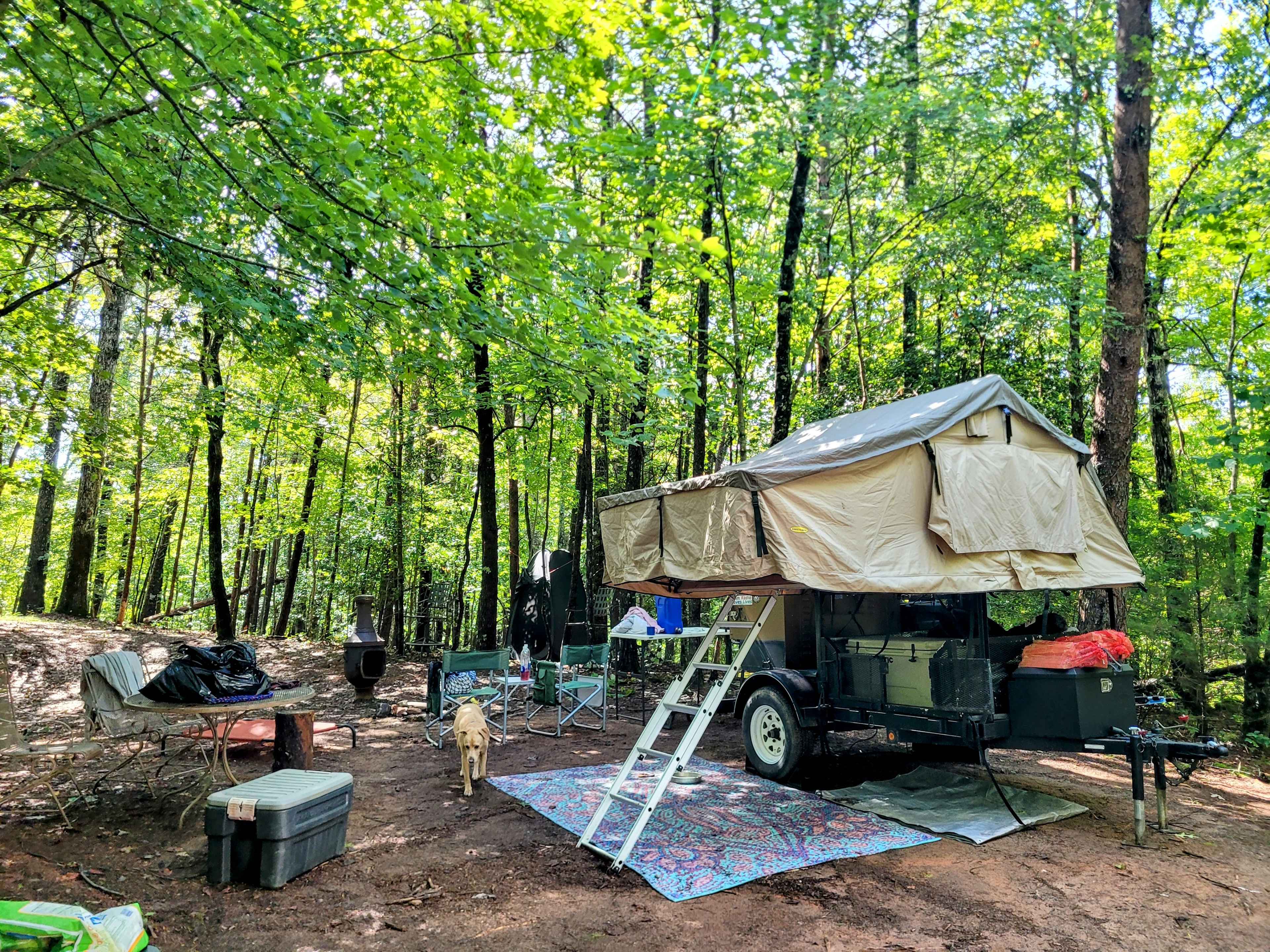 Picture of the site