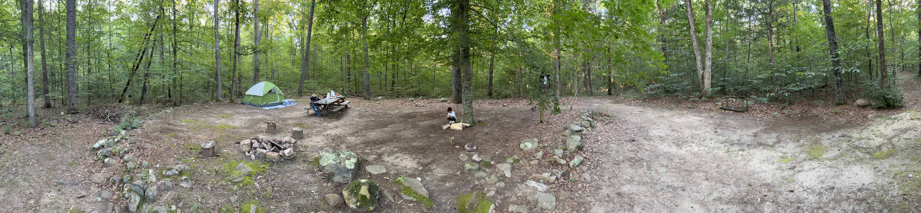 Picture of the site